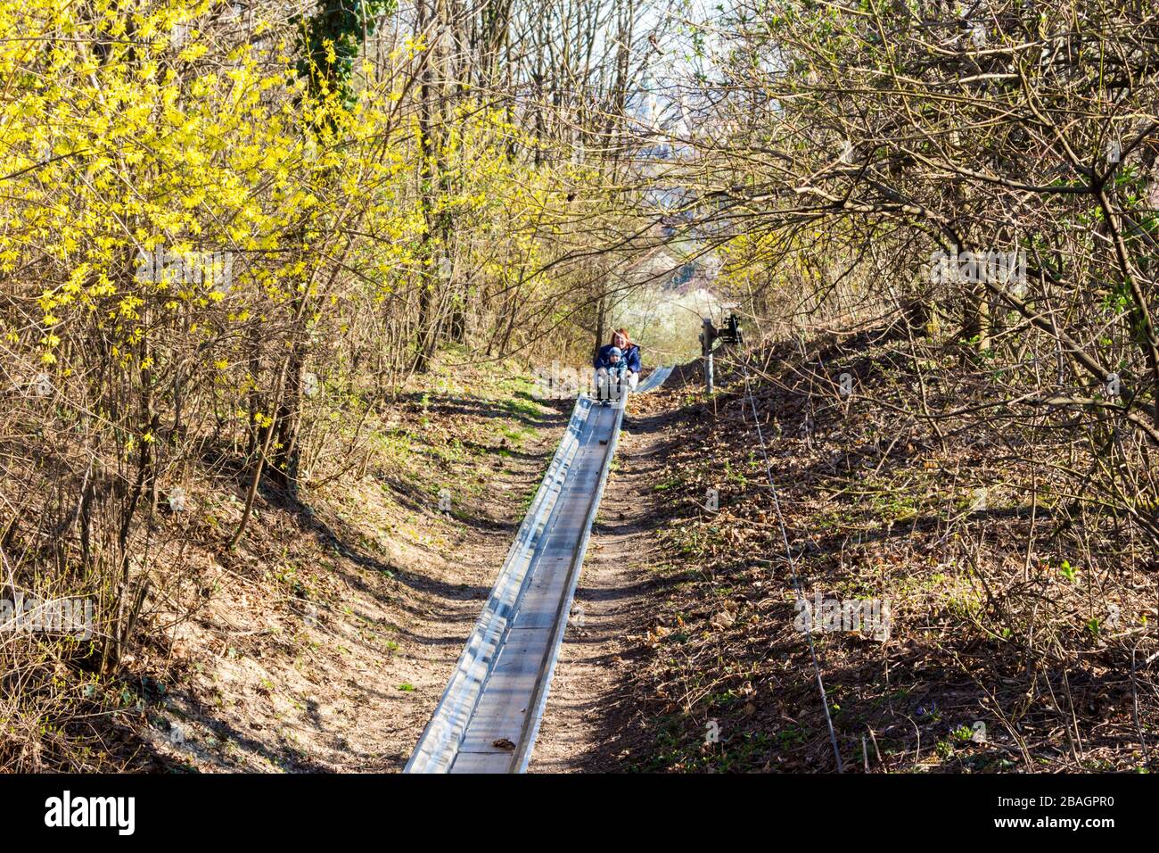 Slittino estivo sulla collina di Bessi-domb, Sopron, Ungheria Foto Stock