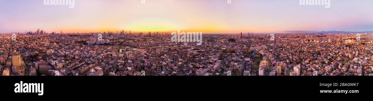 Area urbana infinita della città di Tokyo in ampio panorama aereo da Shinjuku al lontano Monte Fuji all'alba. Foto Stock