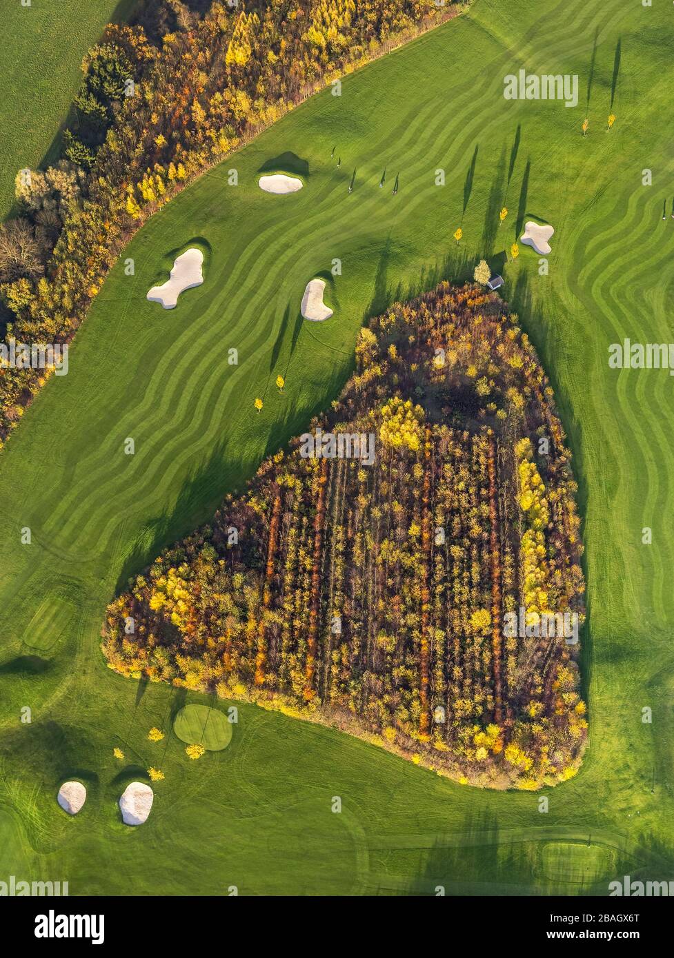 Campo autunnale del club Golf e molto altro presso Altenbrucher Damm a Duisburg-Huckingen, 13.11.2013, vista aerea, Germania, Nord Reno-Westfalia, Ruhr Area, Duisburg Foto Stock