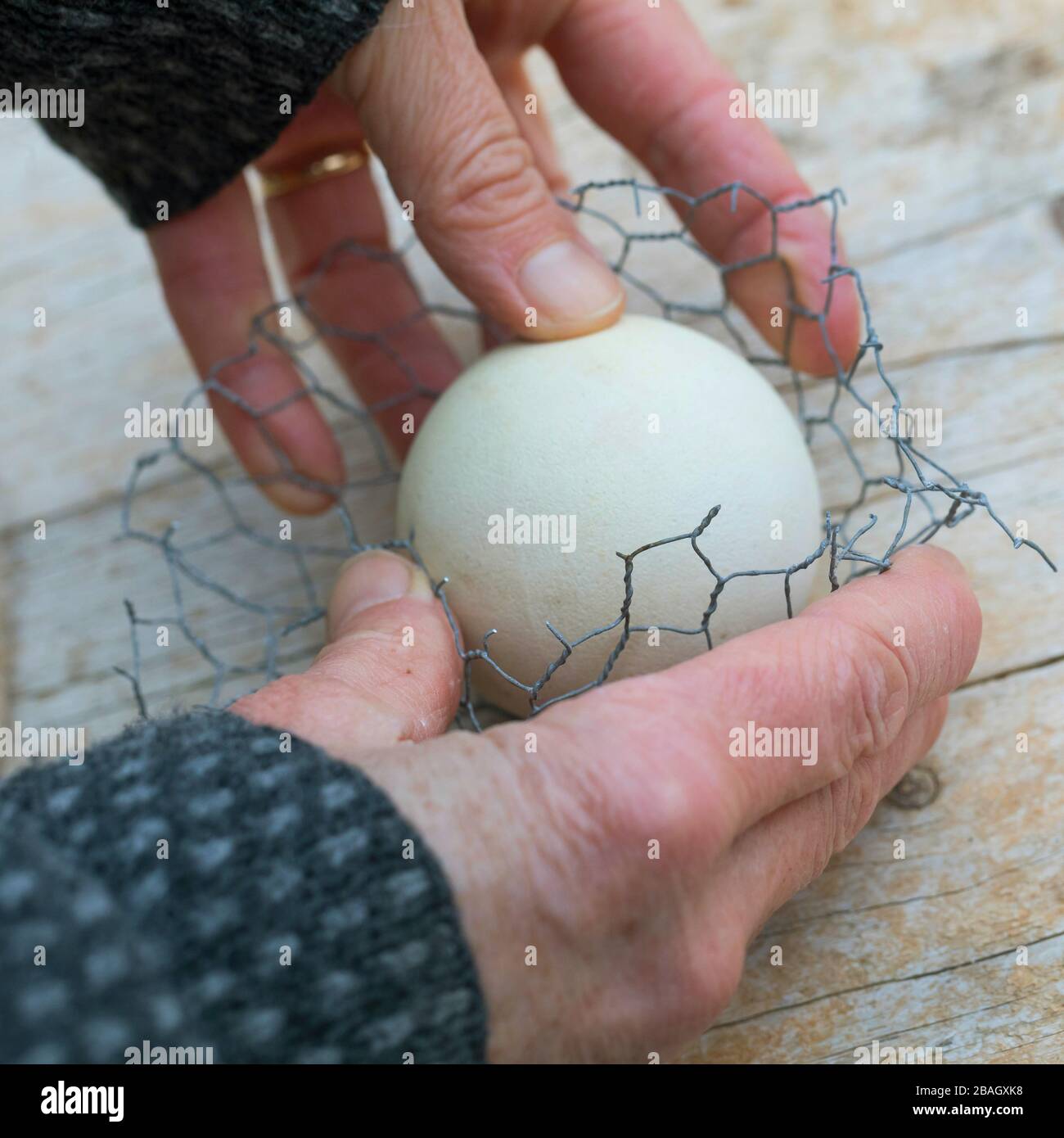 Fare un supporto per palle grasse, serie foto 4/6, Germania Foto Stock