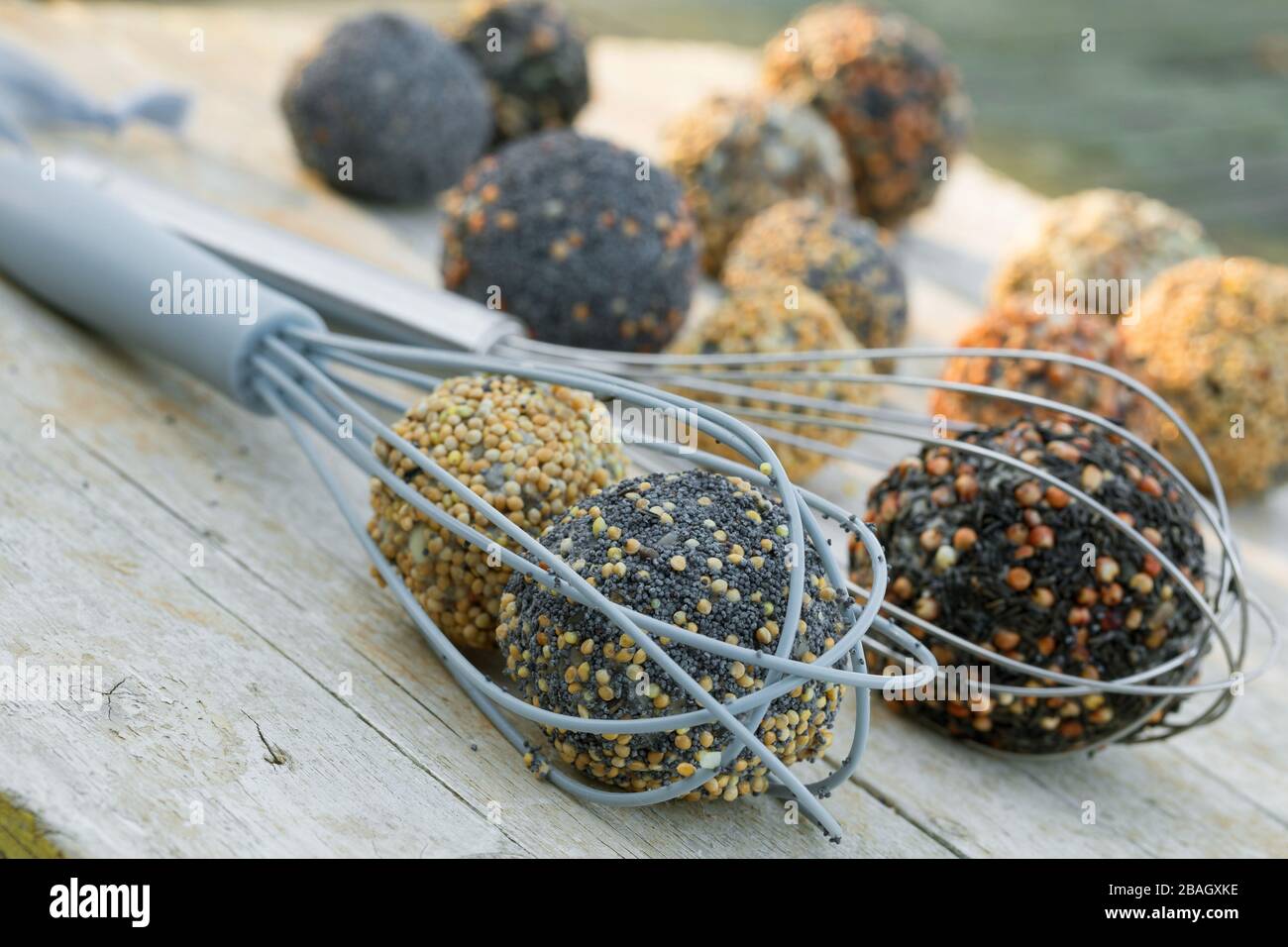 Palle di grasso di uccello fatte in fruste di filo, Germania Foto Stock