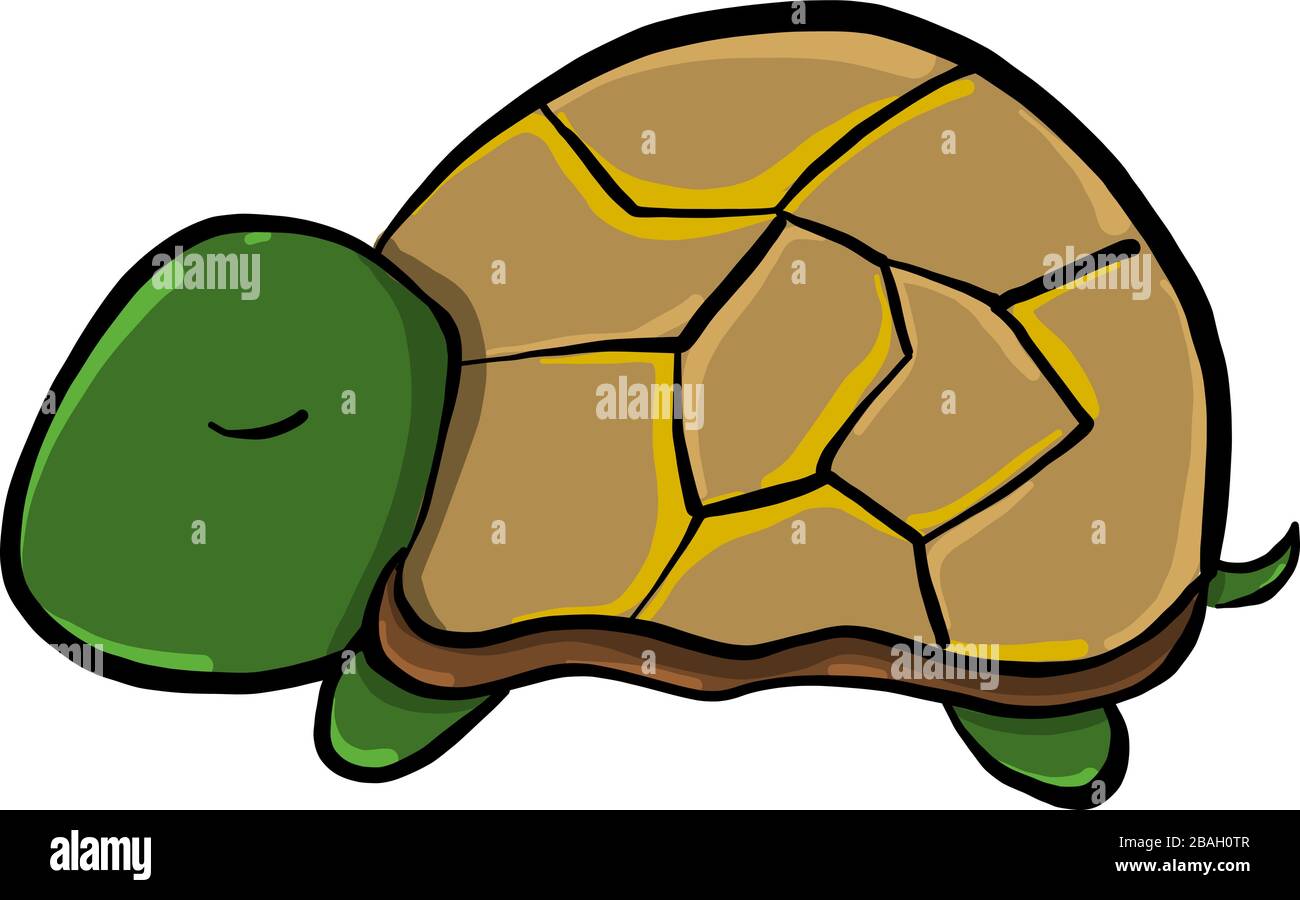 Tartaruga addormentata, illustrazione, vettore su sfondo bianco Illustrazione Vettoriale