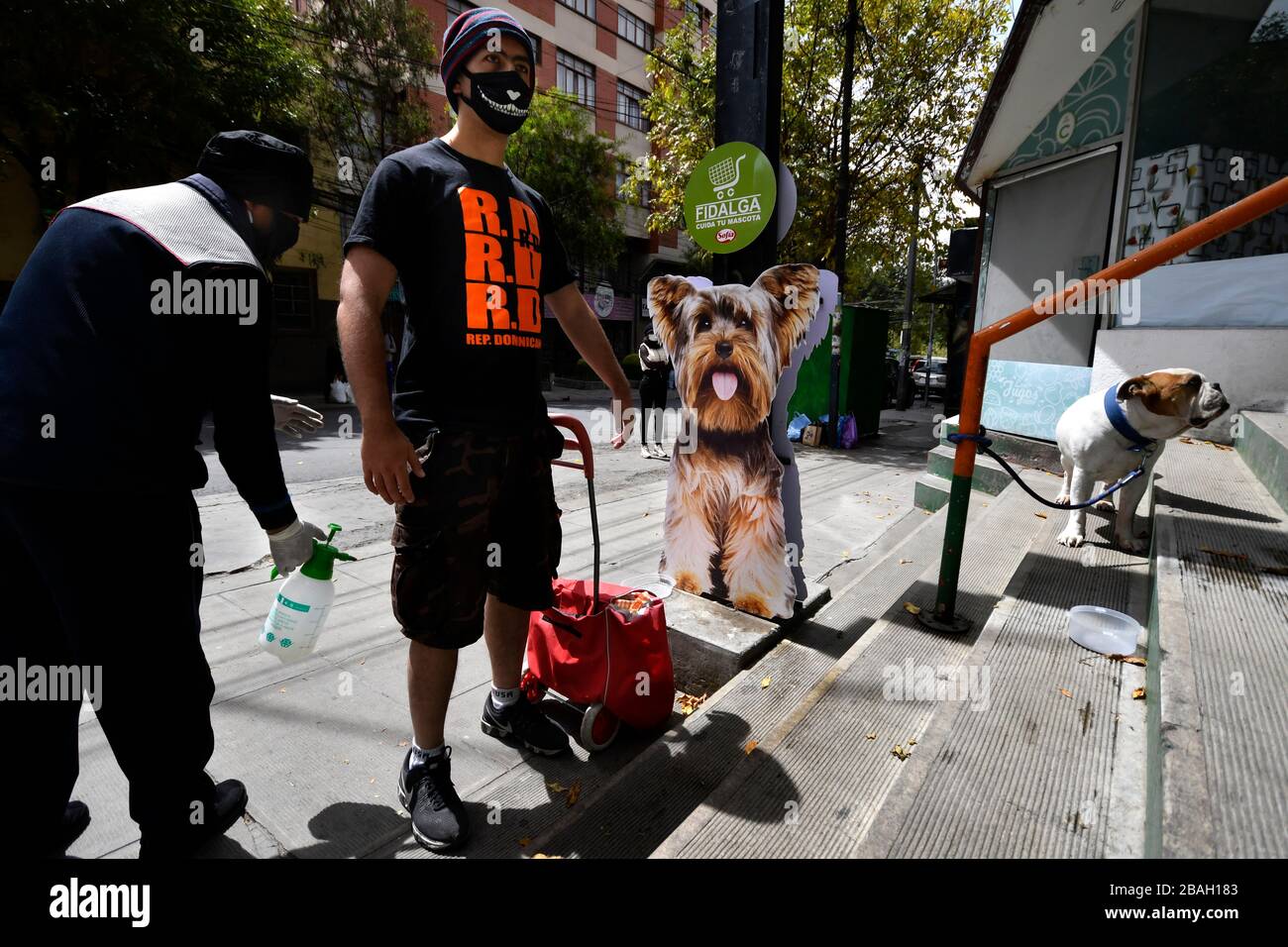 27 marzo 2020, la Paz, la Paz, Bolivia: La Legge d'urgenza (Legge marziale) governa in Bolivia. E' stato annunciato l'isolamento nelle case, con sanzioni da 1 a 10 anni in carcere per coloro che violano questa legge e altre misure. Le forze armate controllano la città e mantengono i checkpoint organizzati strategicamente. La gente ha il diritto di mangiare una volta alla settimana, a seconda dell'ultimo numero sul suo documento d'identità. All'ingresso dei supermercati, le persone, dopo aver presentato il loro documento d'identità, vengono spruzzate con un delicato disinfettante a base di bicarbonato di sodio e limone, poi un altro dipendente prende la loro temperatura e l Foto Stock