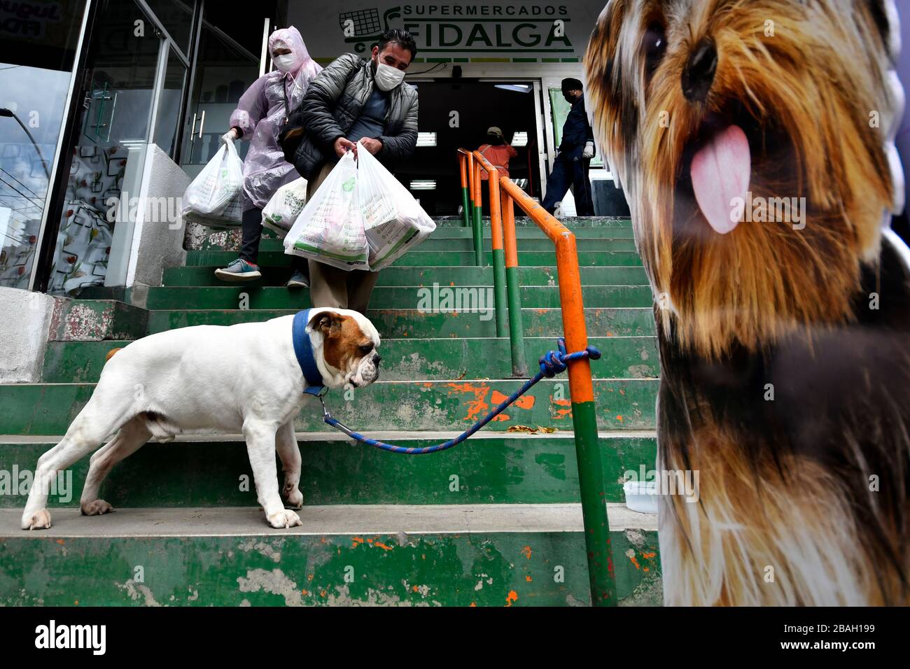 27 marzo 2020, la Paz, la Paz, Bolivia: La Legge d'urgenza (Legge marziale) governa in Bolivia. E' stato annunciato l'isolamento nelle case, con sanzioni da 1 a 10 anni in carcere per coloro che violano questa legge e altre misure. Le forze armate controllano la città e mantengono i checkpoint organizzati strategicamente. La gente ha il diritto di mangiare una volta alla settimana, a seconda dell'ultimo numero sul suo documento d'identità. All'ingresso dei supermercati, le persone, dopo aver presentato il loro documento d'identità, vengono spruzzate con un delicato disinfettante a base di bicarbonato di sodio e limone, poi un altro dipendente prende la loro temperatura e l Foto Stock