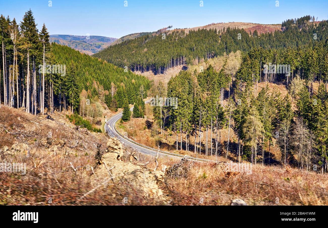 Strada di campagna attraverso le montagne boscose del Harz. Foto Stock