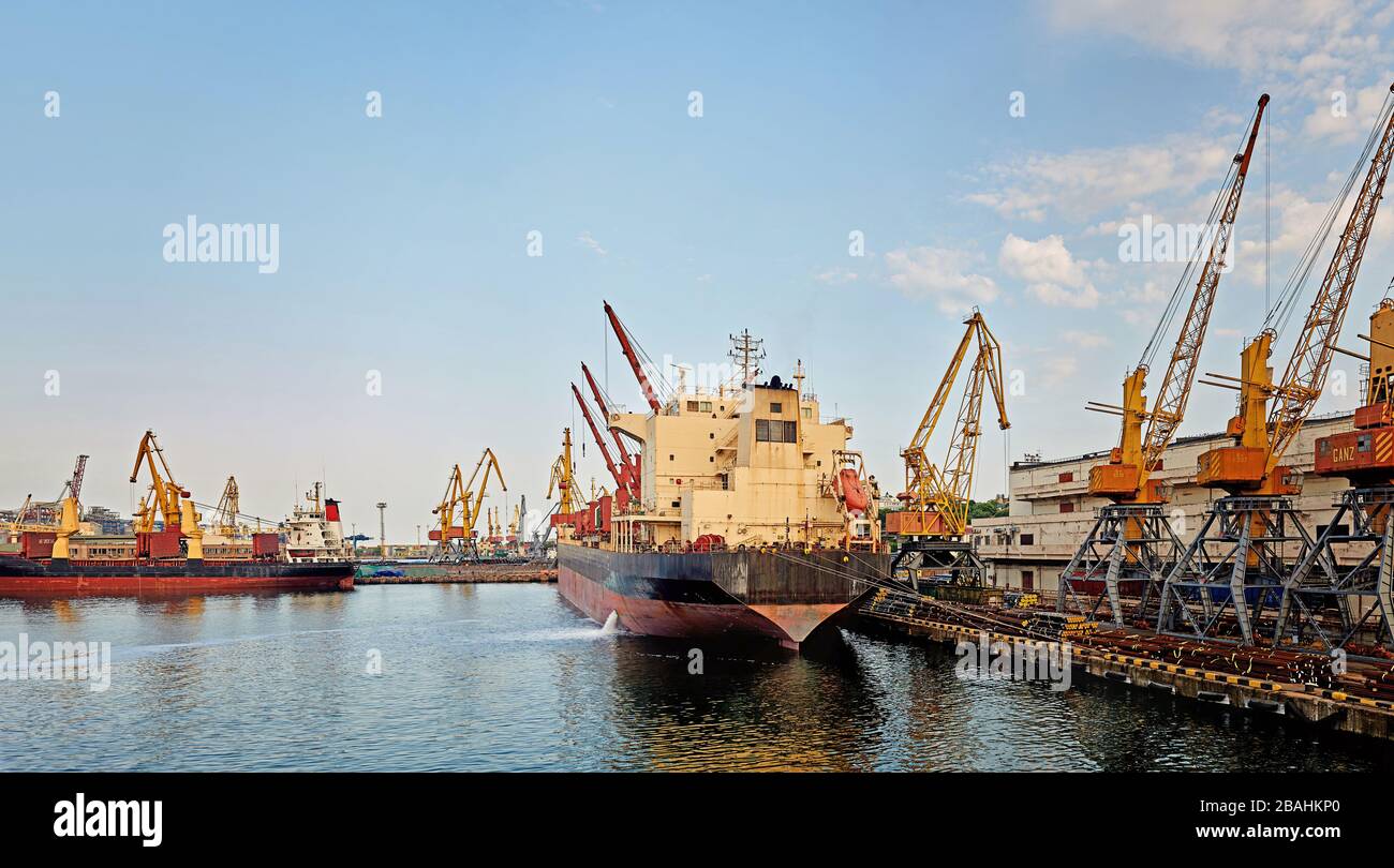 Porto commerciale industriale marino. Zona industriale in porto marittimo. Gru per container. Terminal di carico del porto industriale di trasporto marittimo. Foto Stock