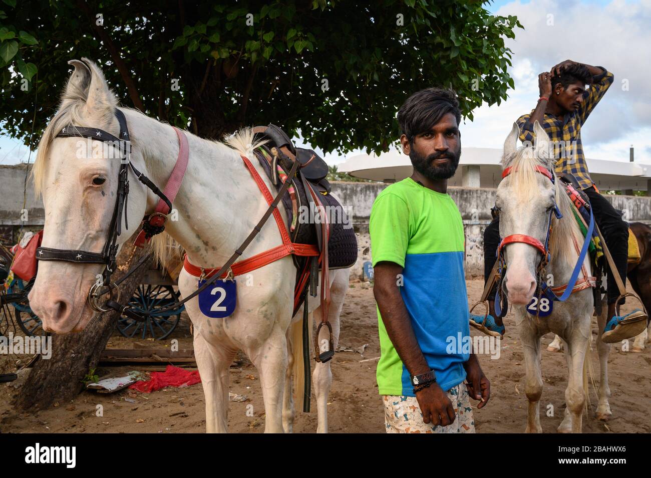 Piloti e loro cavalli a Marina Beach, Chennai, India Foto Stock
