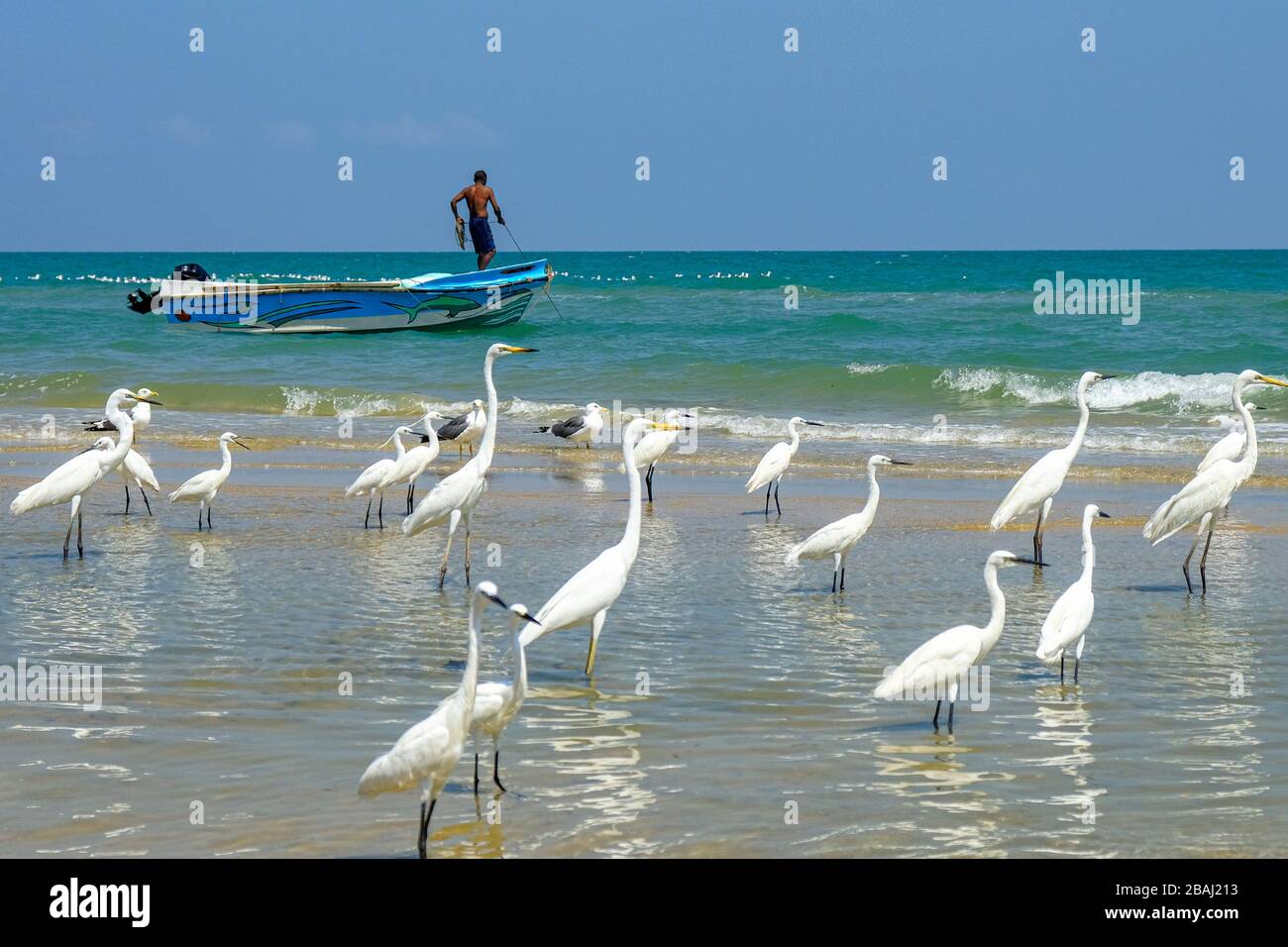 Talaimannar, Sri Lanka - Febbraio 2020: Un pescatore in barca sulla spiaggia il 26 febbraio 2020 a Talaimannar, Sri Lanka. Foto Stock