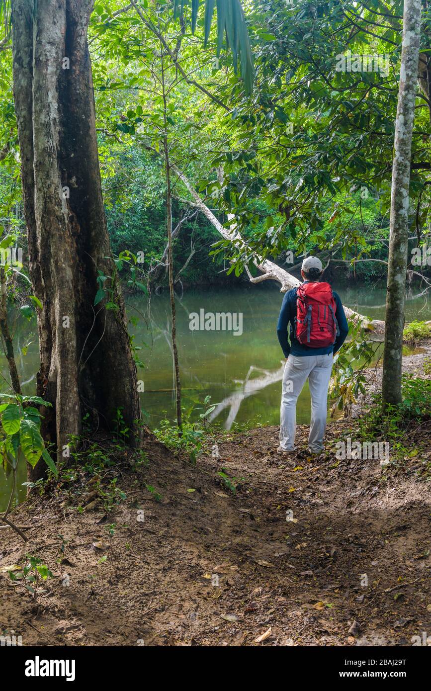 Una vista di un ecotourist maschio con uno zaino rosso che si trova accanto a un torrente d'acqua dolce in un ambiente tropicale della foresta pluviale nel lontano Queensland del Nord. Foto Stock