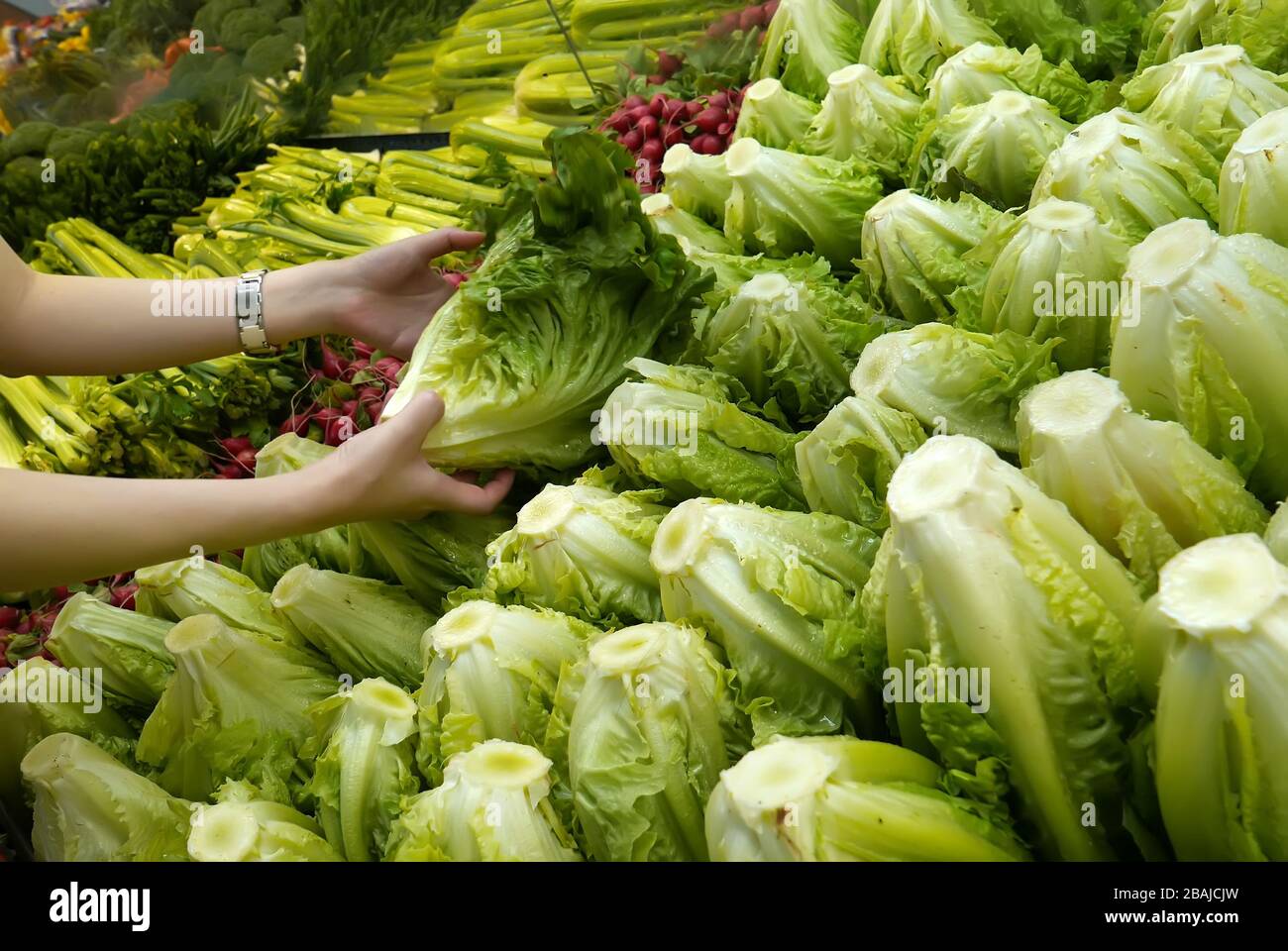 Donna che seleziona lattuga verde in negozio di alimentari Foto Stock