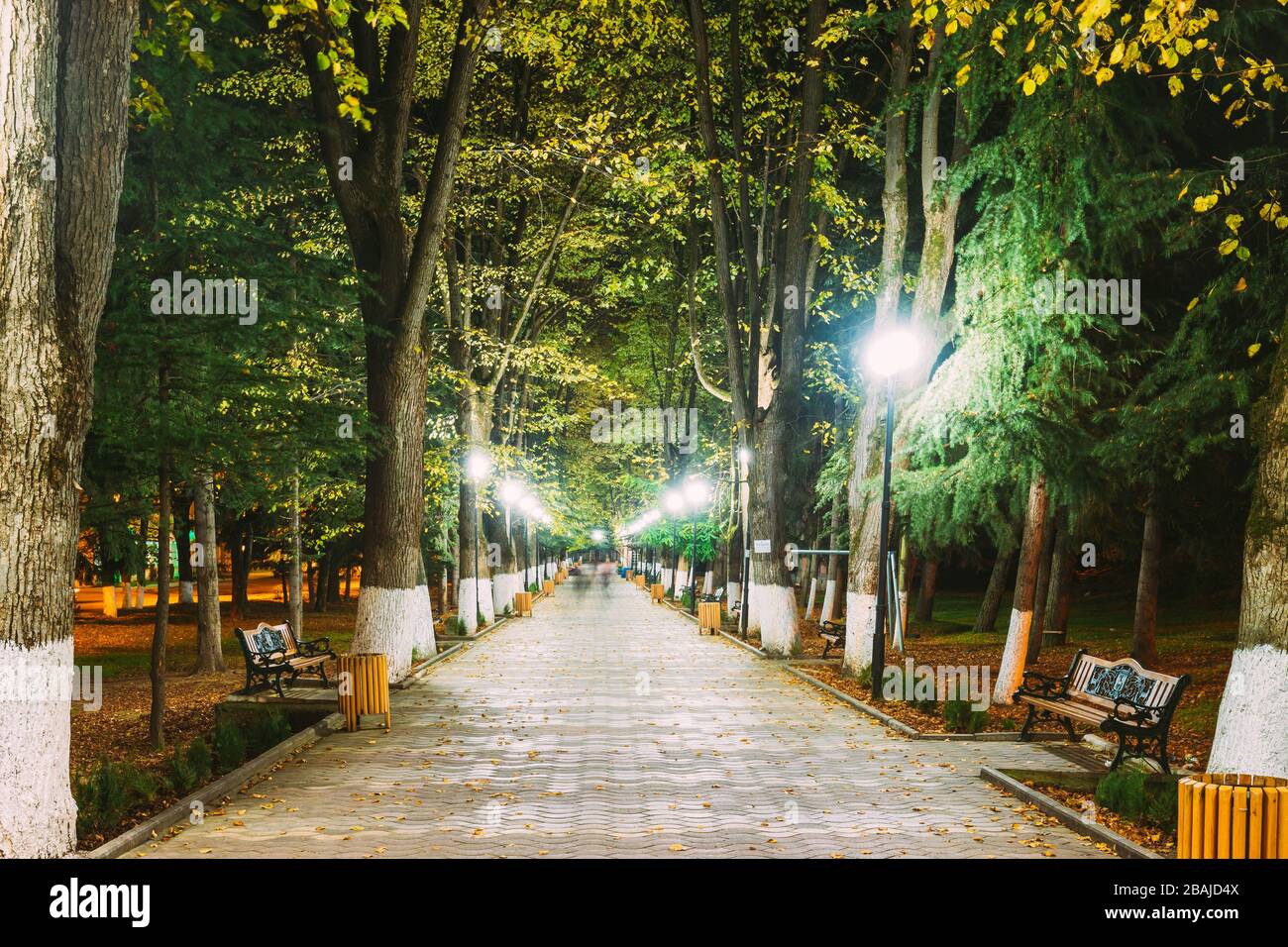 Borjomi, Georgia. Parco cittadino Merab Kostava's Garden in Night Illuminations Lights. Foto Stock