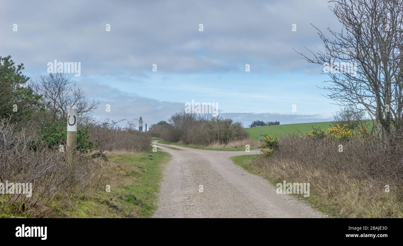 Paesaggio con percorso brigle sull'isola di Sylt in primavera Foto Stock