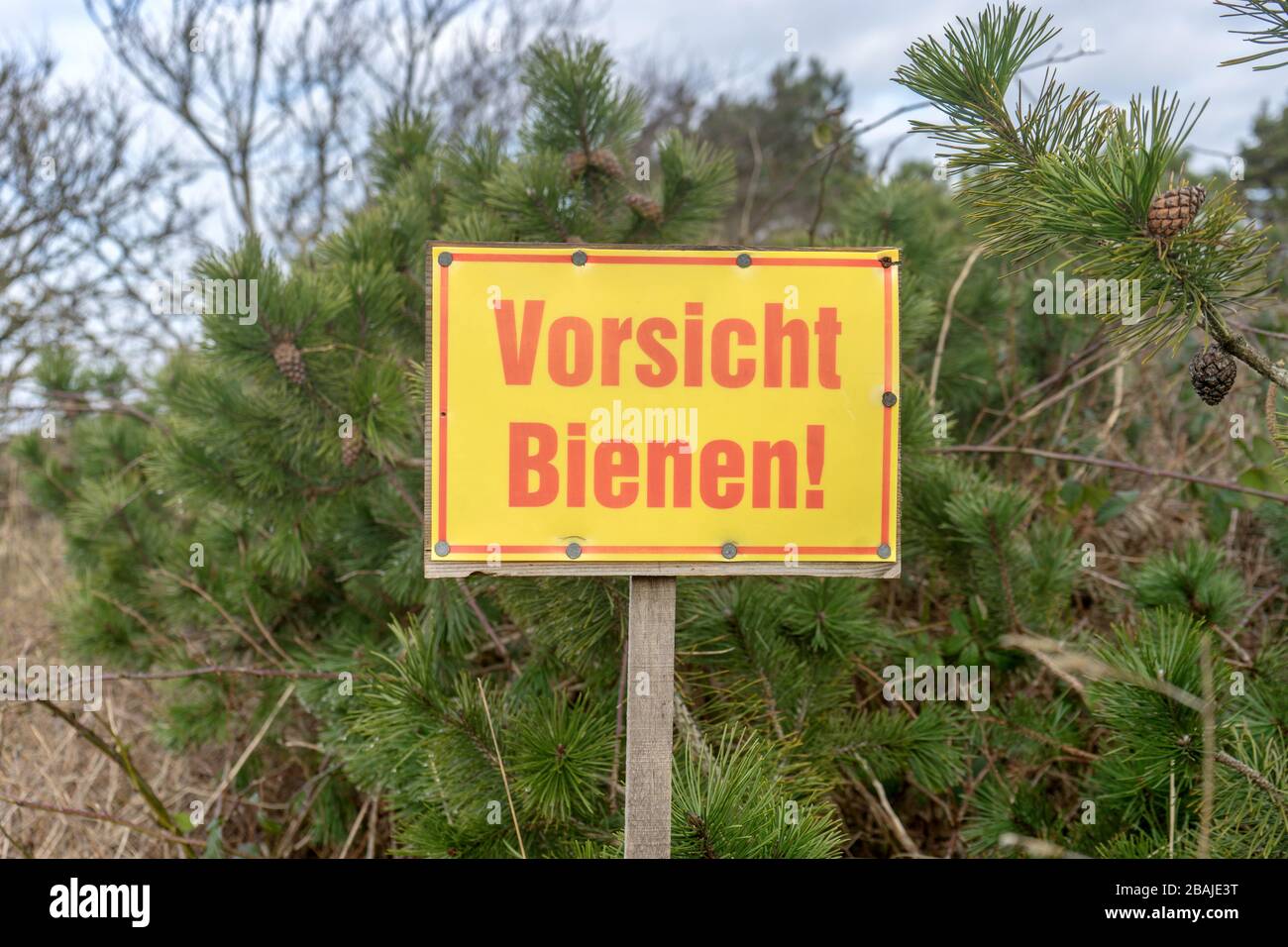 Segnale di avvertimento in natura con il testo tedesco: Attenzione alle api Foto Stock