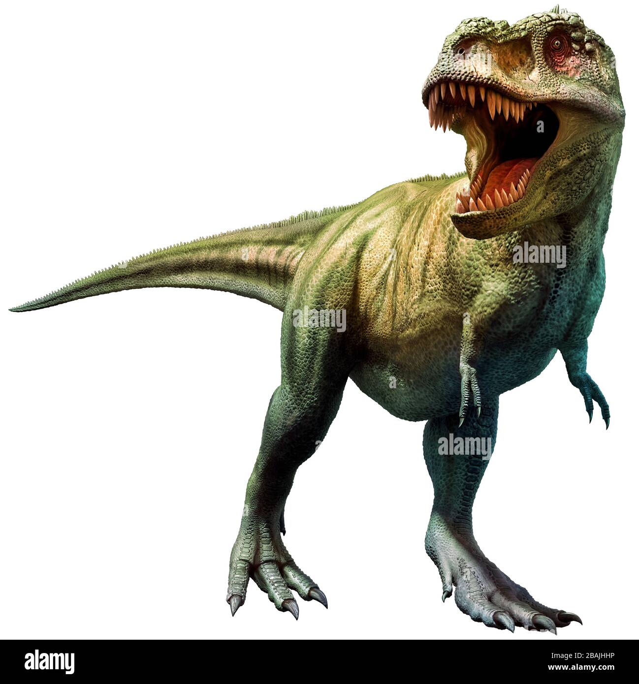 Tyrannosaurus rex dinosauro del Cretaceo epoca 3D illustrazione Foto Stock