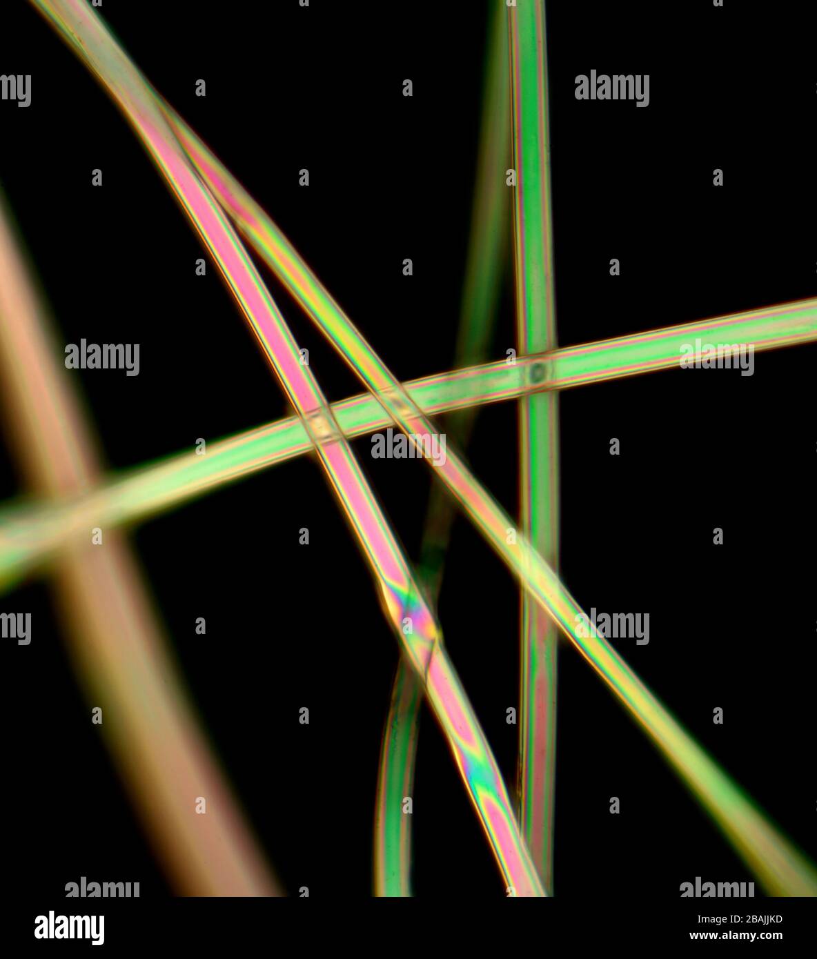 Fibre sintetiche in poliestere, illuminazione a polarizzazione incrociata, fotomicrografia Foto Stock