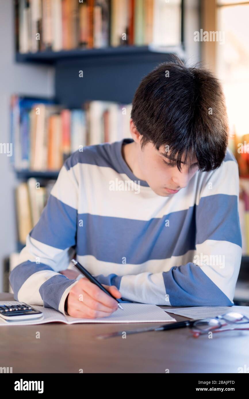 Uno studente universitario che studia a casa Foto Stock