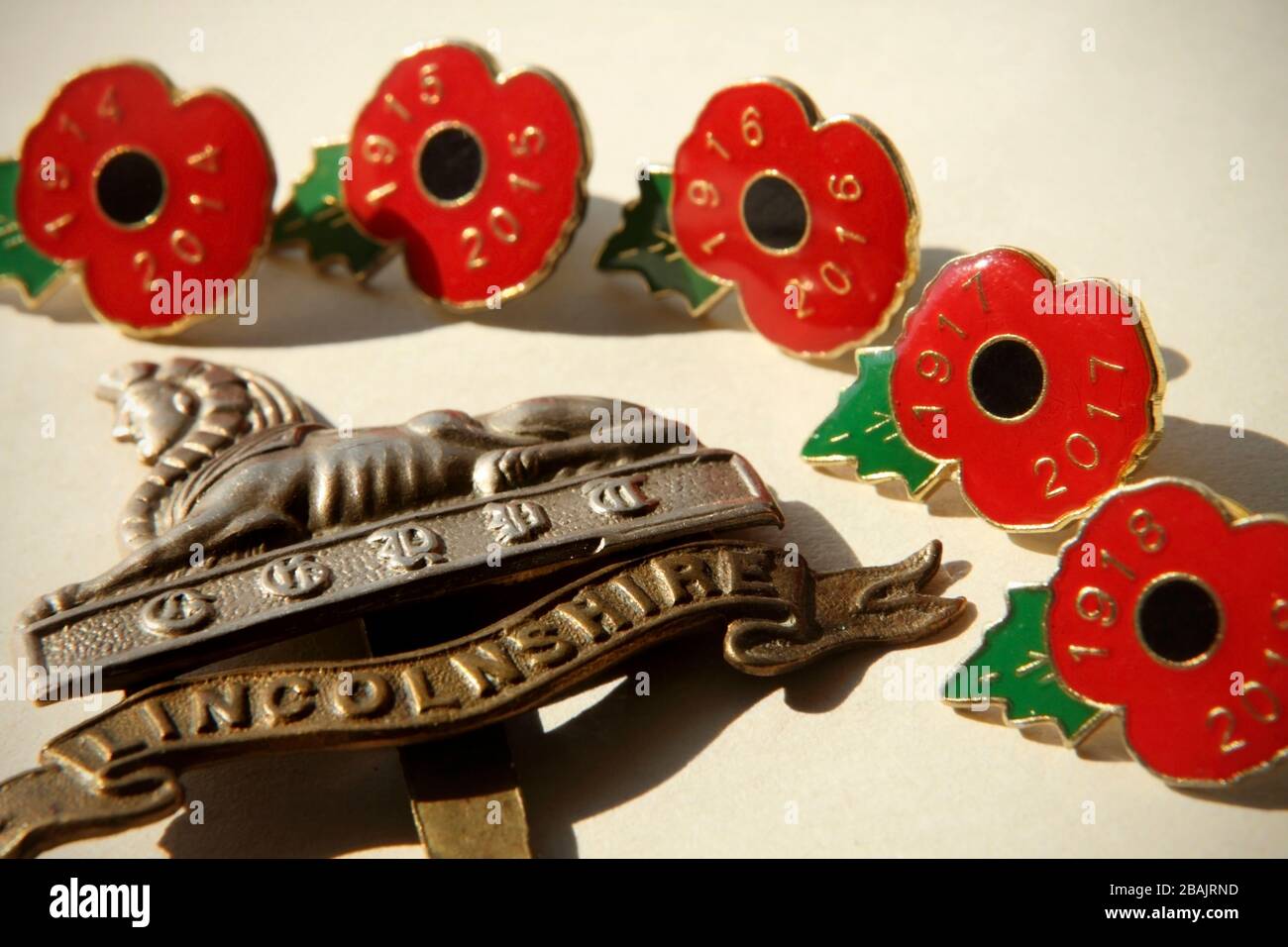 Stemma CAP del Reggimento del Lincolnshire dell'esercito britannico nella prima guerra mondiale, circondato da distintivi di pin papavero che commemorano il centenario della guerra. Foto Stock