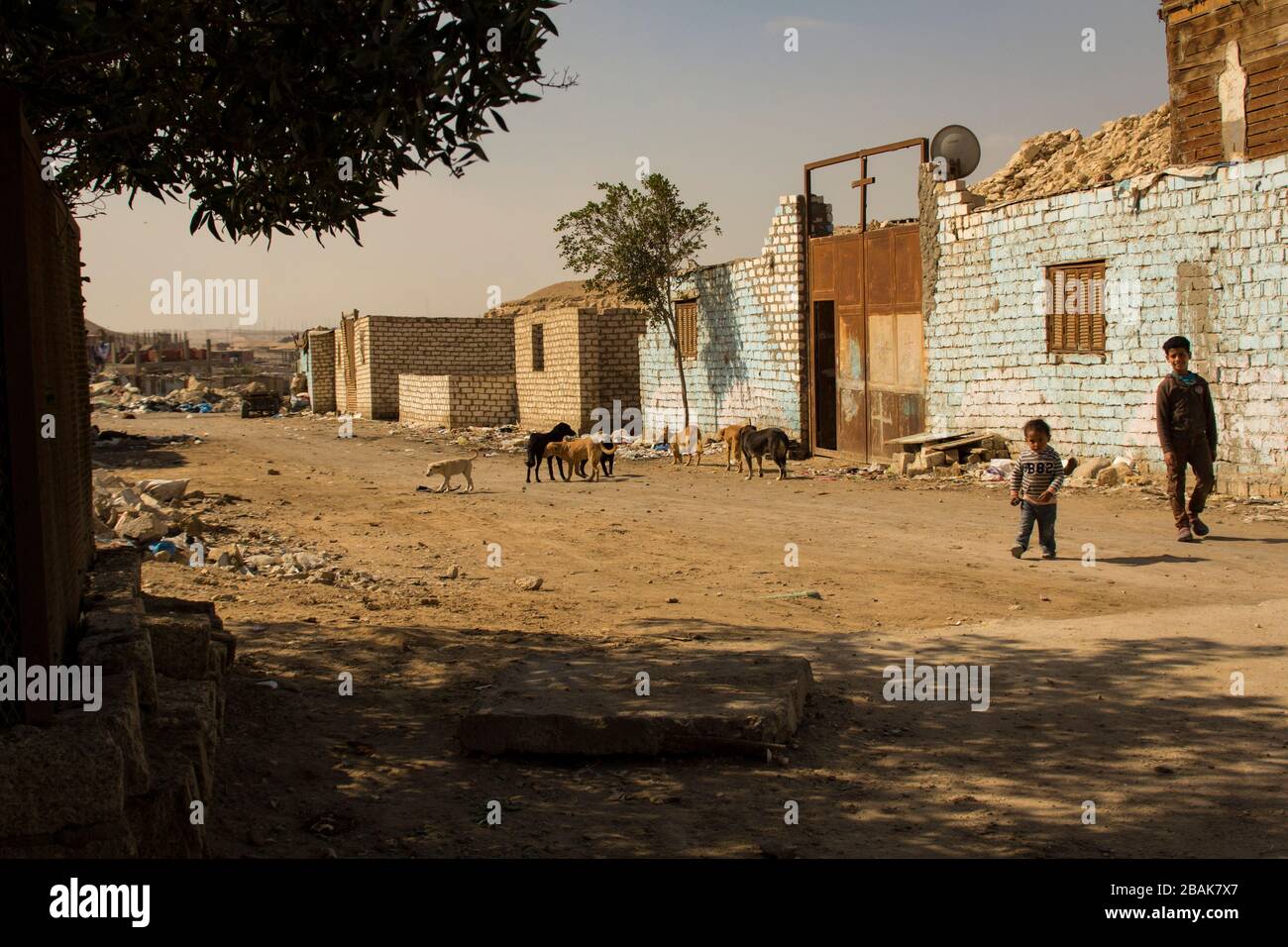 Bambini e cani randagi nel Cestino del Cairo Foto Stock