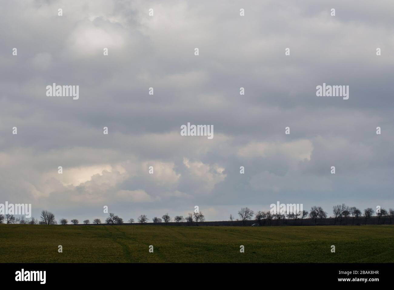 Prato verde, campo agricolo, tempo nuvoloso, sfondo naturale, alberi nella parte posteriore Foto Stock