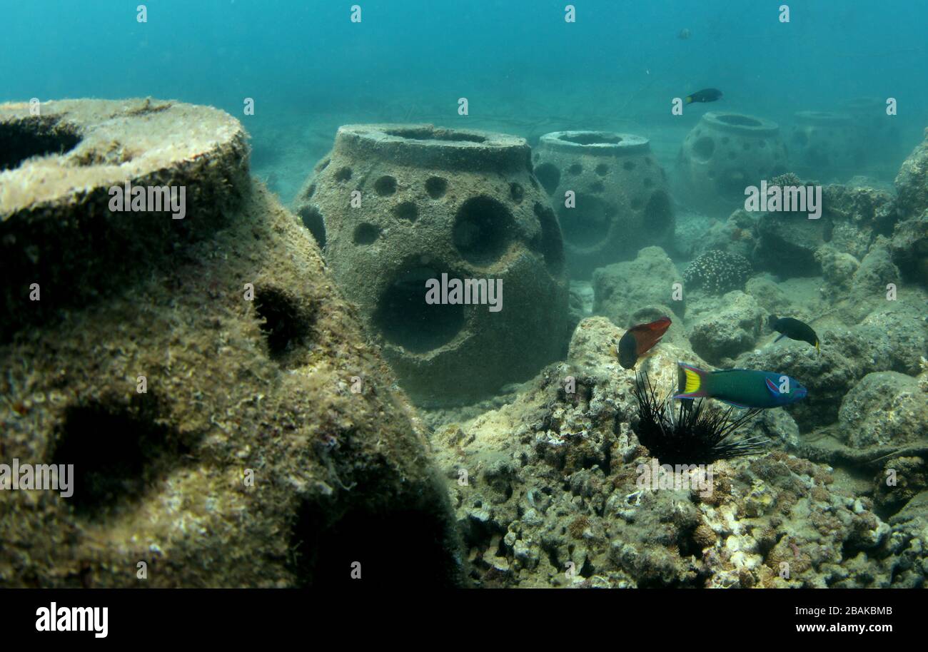 Sanya. 28 Marzo 2020. La foto scattata il 28 marzo 2020 mostra barriere coralline artificiali al ranching marino della zona panoramica dell'isola di Wuzhizhou a Sanya, provincia di Hainan della Cina del sud. I membri del personale dell'area panoramica dell'isola di Wuzhou hanno ripreso le loro pattuglie quotidiane per mantenere le attrezzature subacquee e le barriere coralline artificiali, e per ripulire i rifiuti al ranching marino. Credit: Yang Guanyu/Xinhua/Alamy Live News Foto Stock