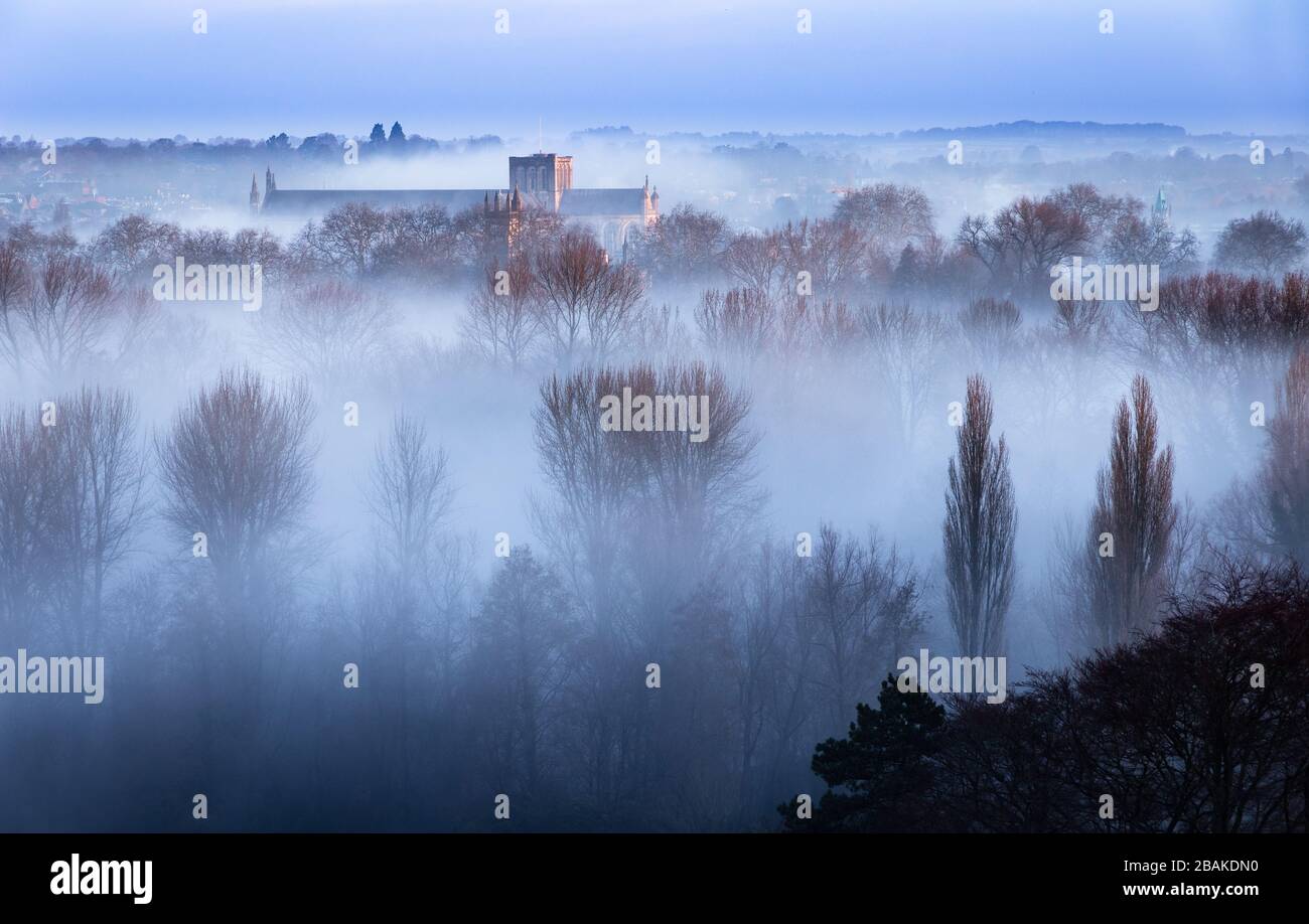 Winchester Cathedral in the Mist una mattina a Hampshire da St Catherines Hill Foto Stock