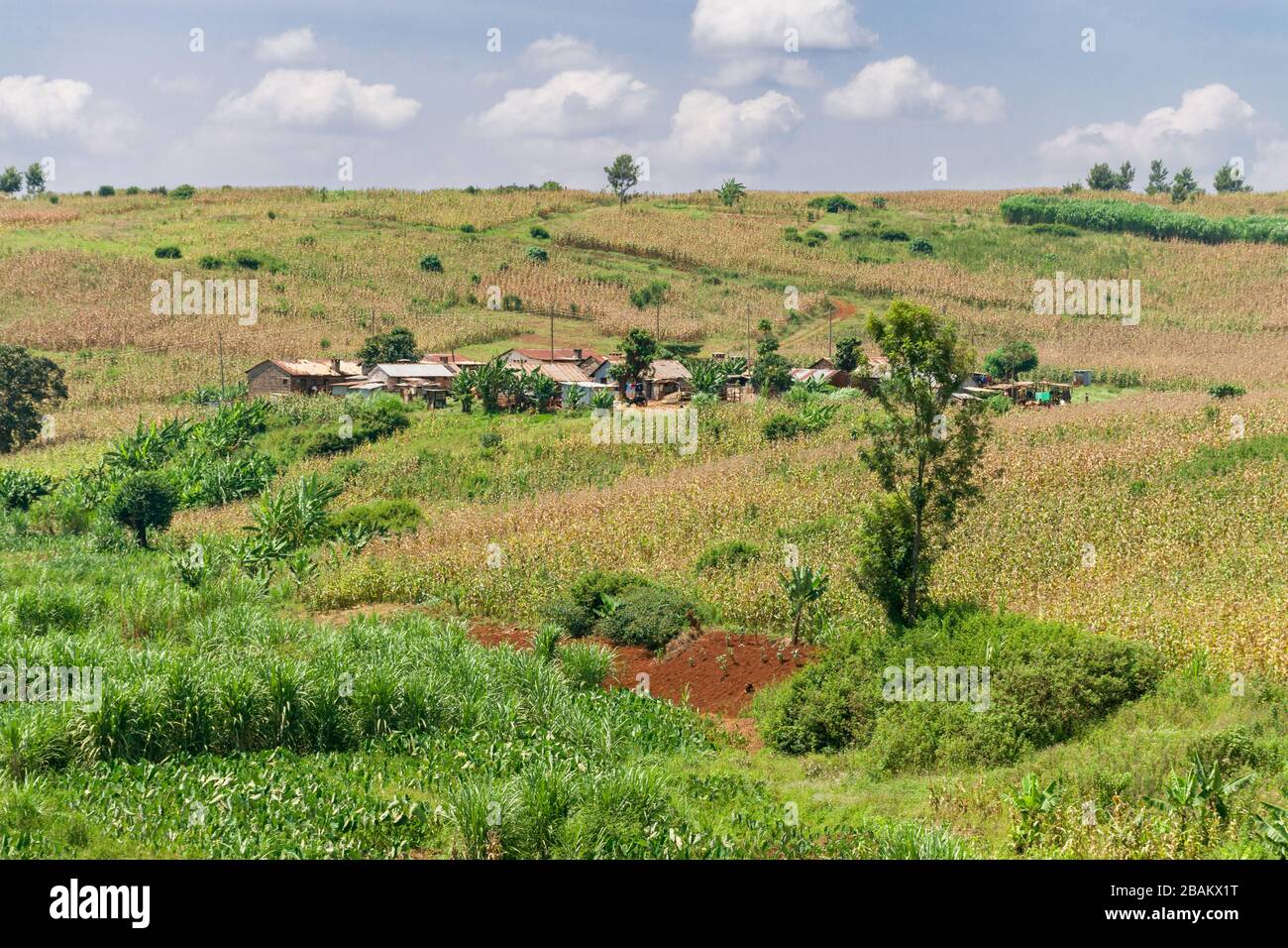 Un piccolo villaggio rurale su una collina con terreno agricolo intorno ad esso, Kenya Foto Stock