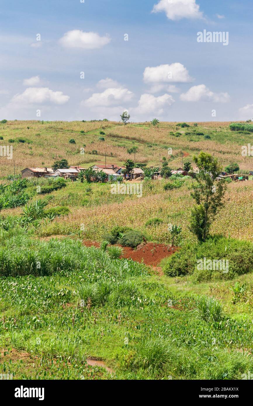 Un piccolo villaggio rurale su una collina con terreno agricolo intorno ad esso, Kenya Foto Stock