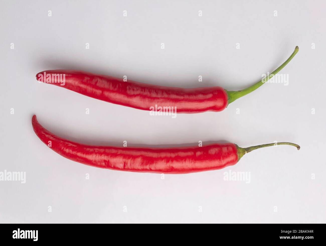 Peperoncino rosso isolato su sfondo bianco Foto Stock