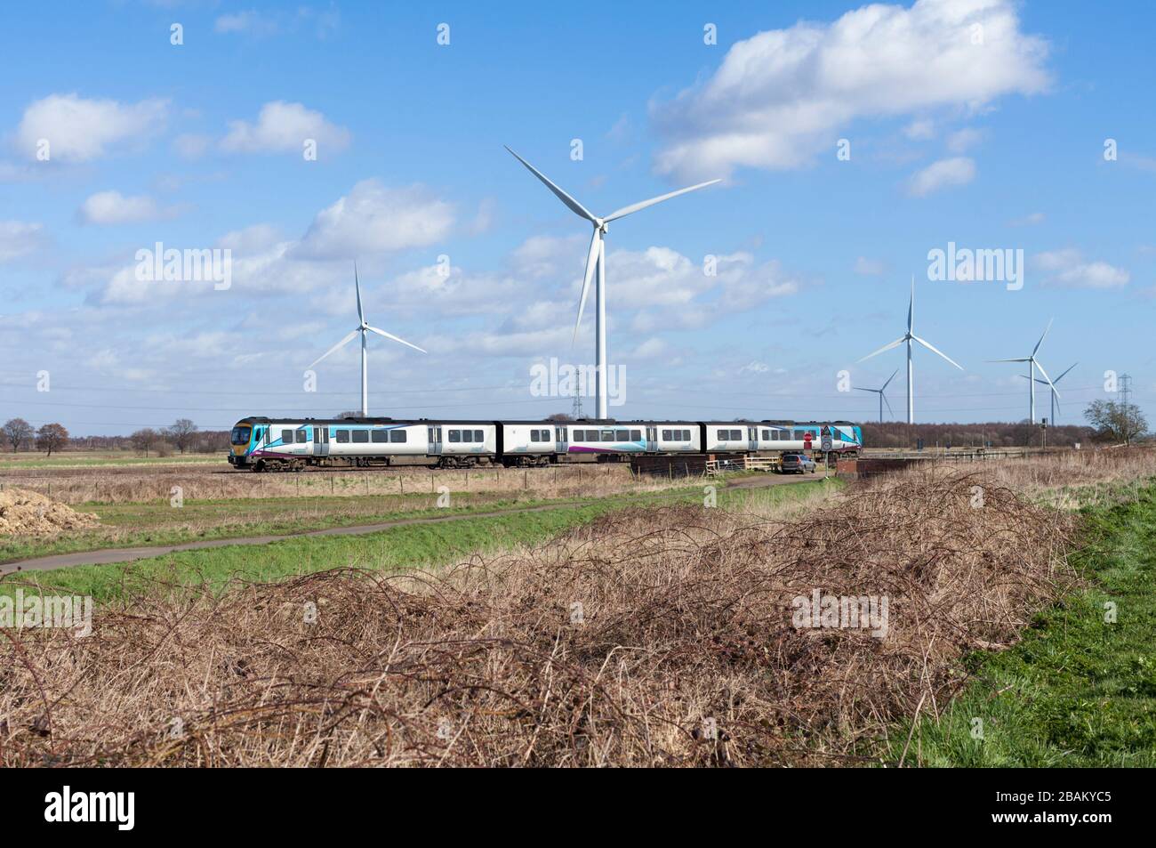 Prima Transpennine Express classe 185 treno 185143 passando Mauds Bridge, Yorkshire con turbine eoliche dietro, trasporto sostenibile? Foto Stock