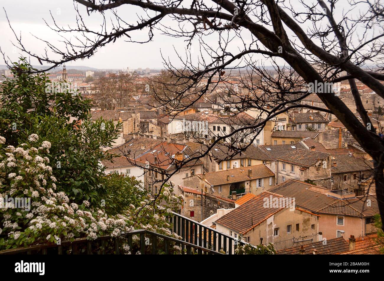 Avignone dai giardini Rocher des Doms nel sud della Francia. Foto Stock