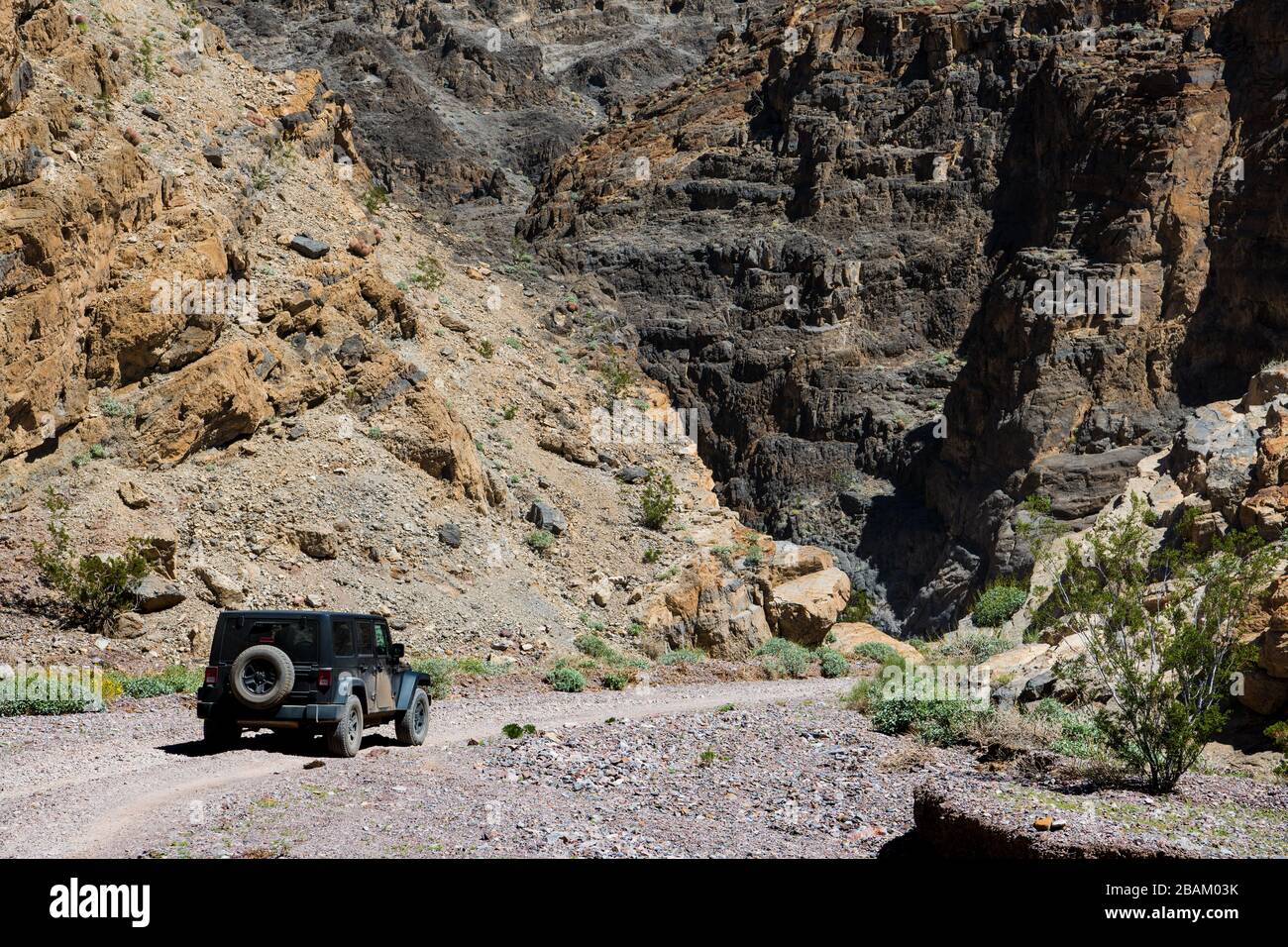 Veicolo 4WD che viaggia in un canyon accidentato circondato da alte scogliere nel Death Valley National Park, California, Stati Uniti Foto Stock