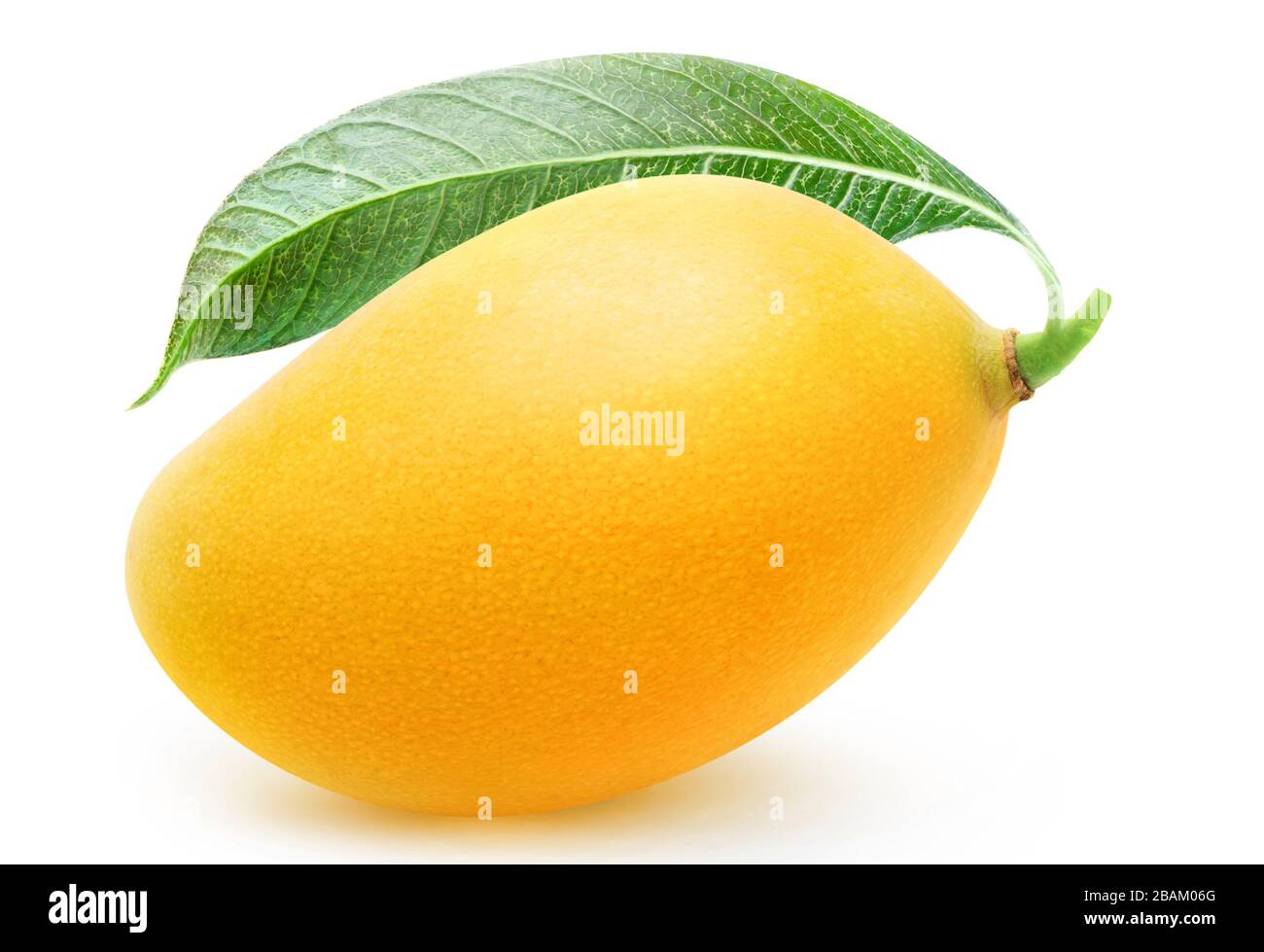 Un intero frutto di mango giallo isolato su sfondo bianco Foto Stock