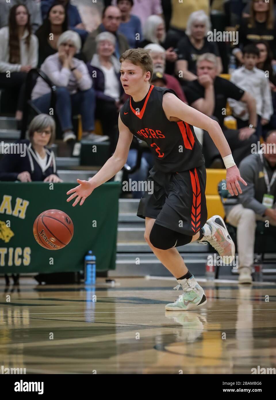 Azione di basket con le cascate dell'Idaho contro la Bishop Kelly High School a Boise, Idaho. Foto Stock