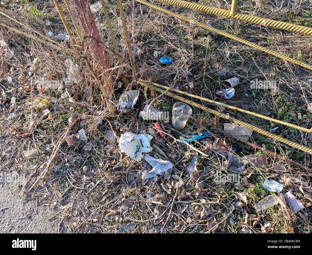 La natura littering. Foto Stock