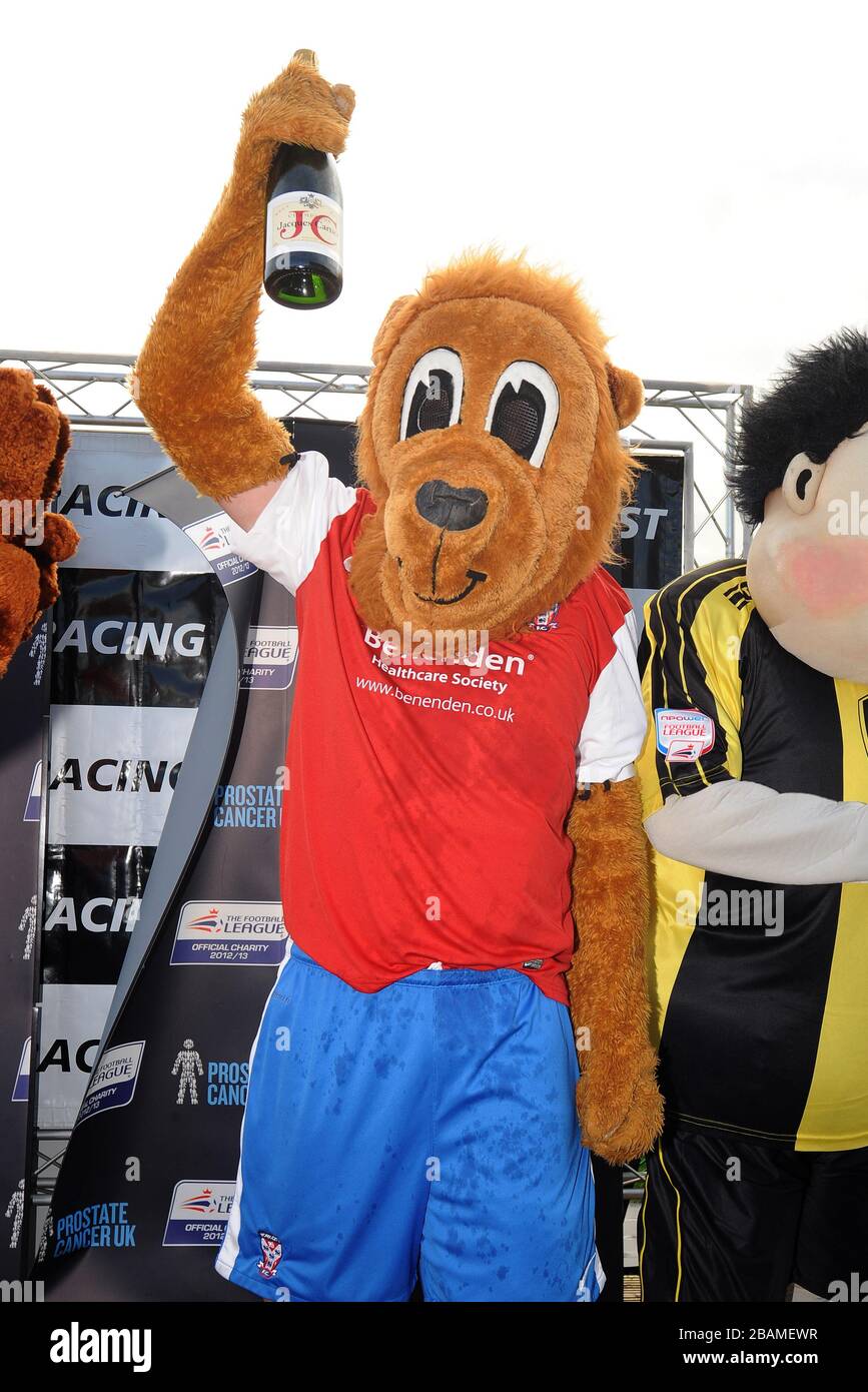 Yorkie the Lion del York City FC festeggia con una bottiglia di champagne dopo aver vinto la Football League Mascot Race, a sostegno di Prostate Cancer UK. Foto Stock