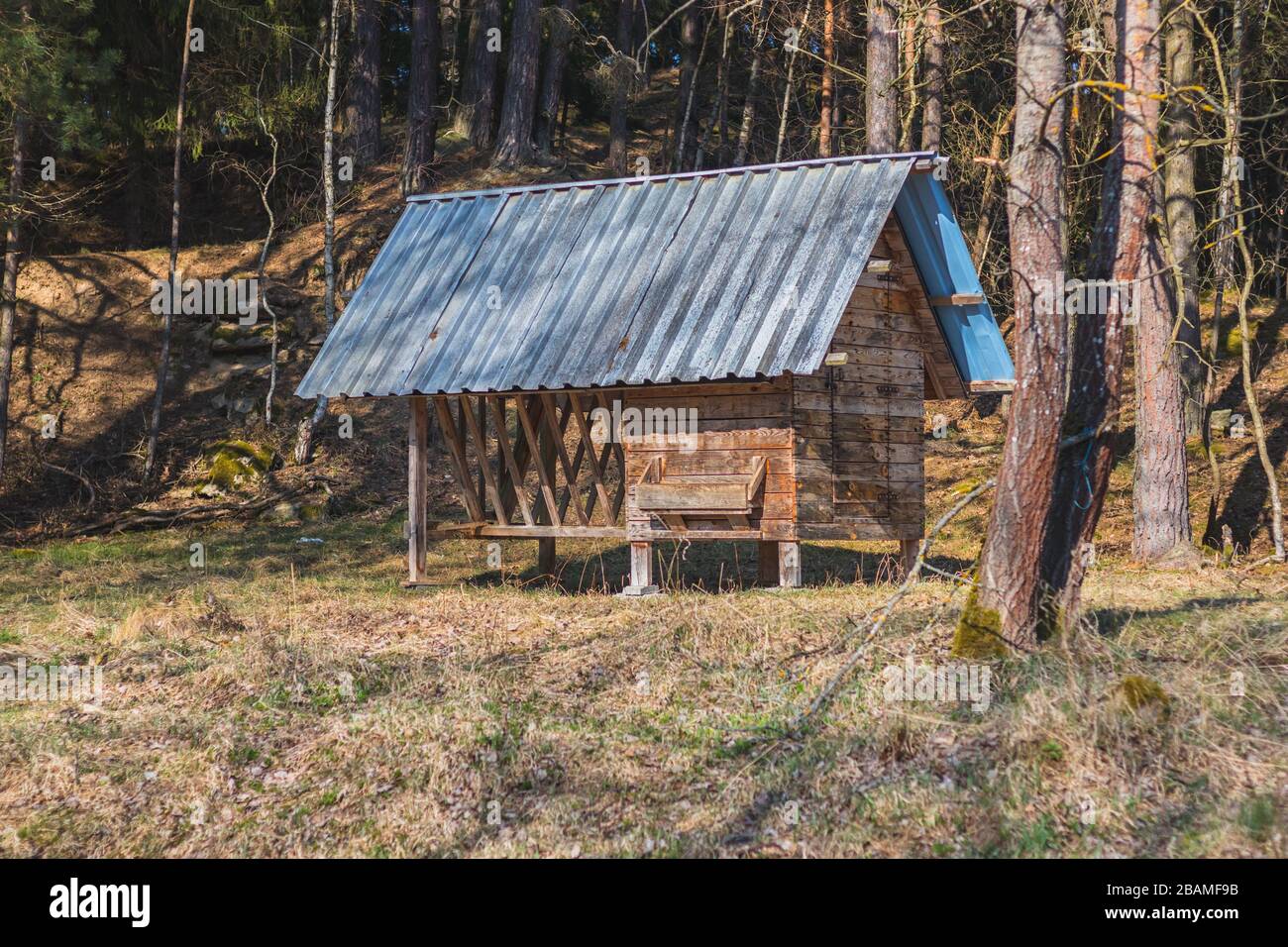 rastrelliera di fieno in legno per animali forestali, con tetto in stagno, nella foresta Foto Stock