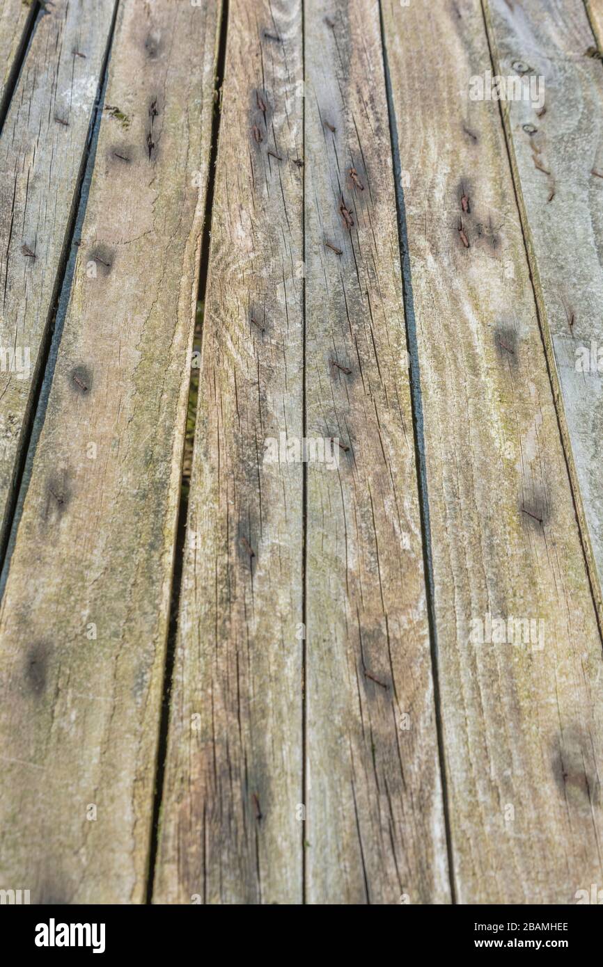 Stecche di legno stagionato di un tetto di coop di pollo in una fattoria.  Mostra segni di agenti atmosferici e invecchiamento. Legno stecche texture  sfondo, linea retta concetto Foto stock - Alamy
