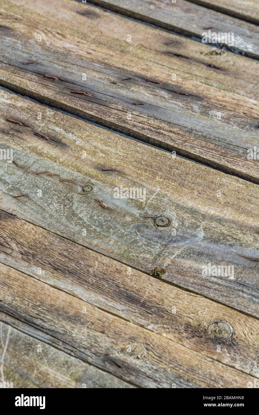 Stecche di legno stagionato di un tetto di coop di pollo in una fattoria. Mostra segni di agenti atmosferici e invecchiamento. Legno stecche texture sfondo, linea retta concetto. Foto Stock