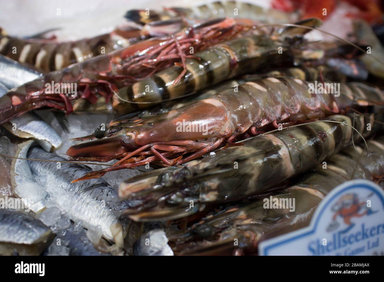 Londra, Regno Unito - 20, marzo 2020, vari tipi di frutti di mare per la vendita nel mercato locale. Scampi, Foto Stock