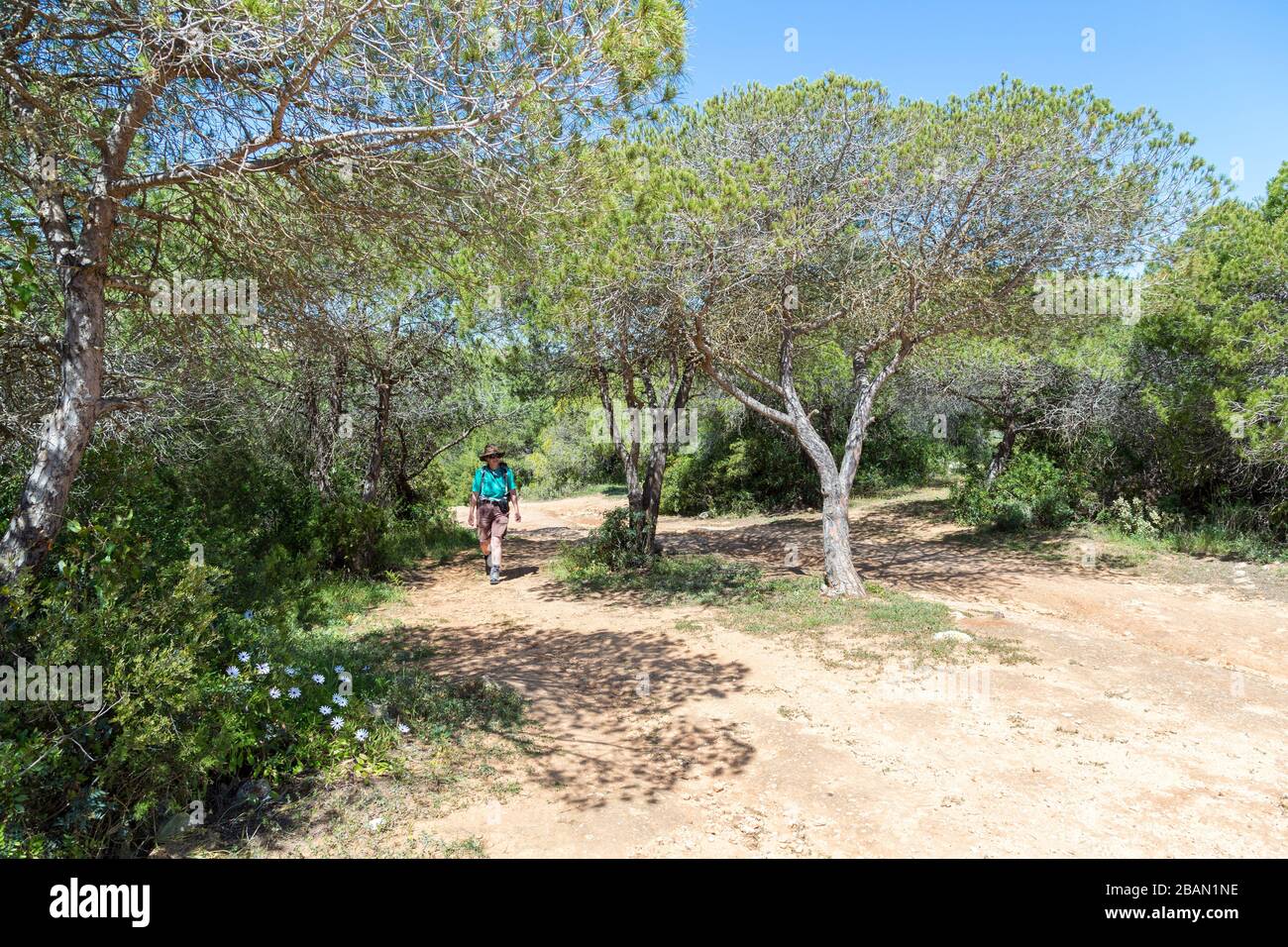 Donna escursionista a piedi il sentiero della costa a ovest di Alporchinhas, Algarve, Portogallo Foto Stock