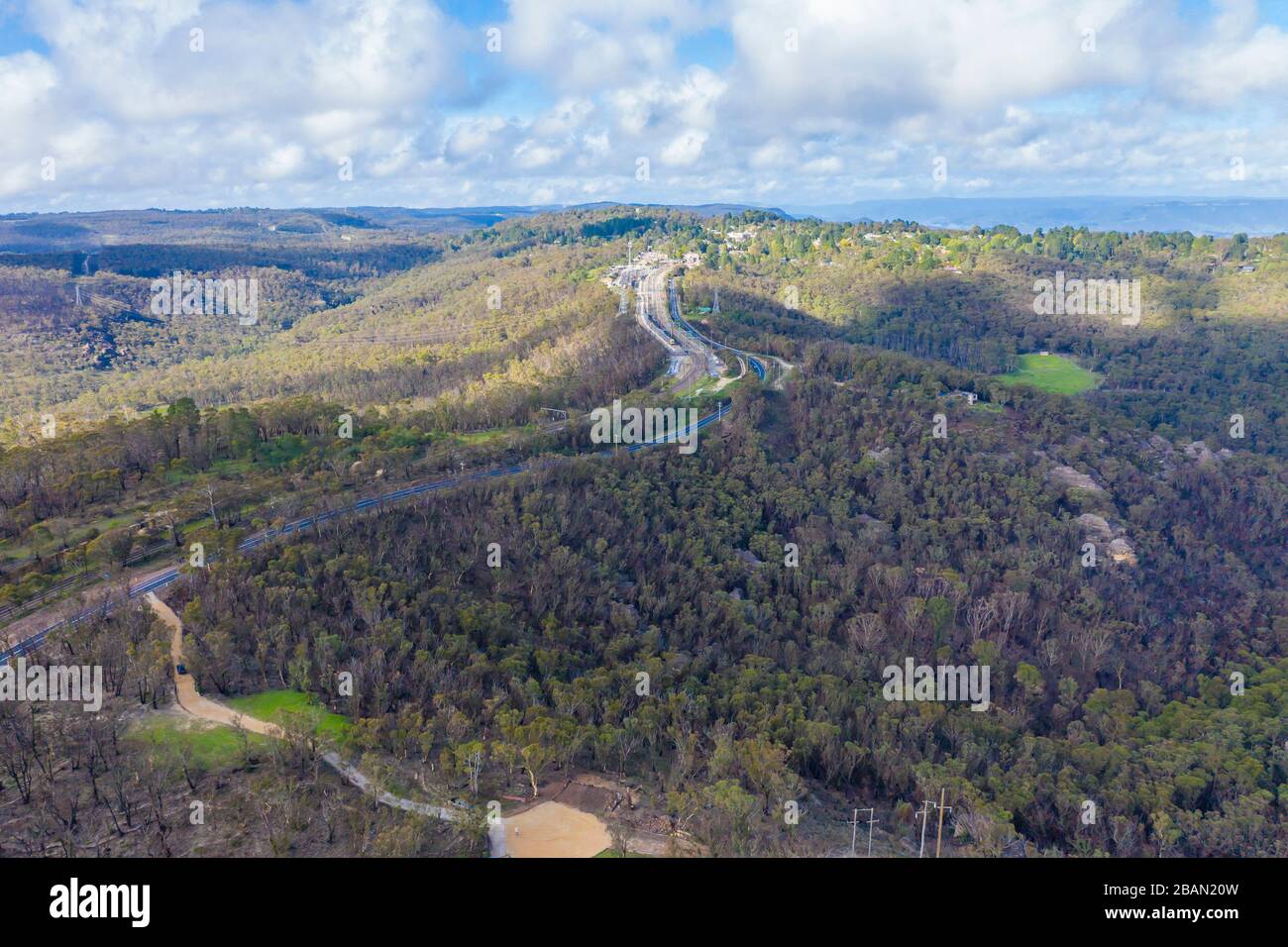 Un'autostrada a più corsie attraverso una foresta di alberi Foto Stock
