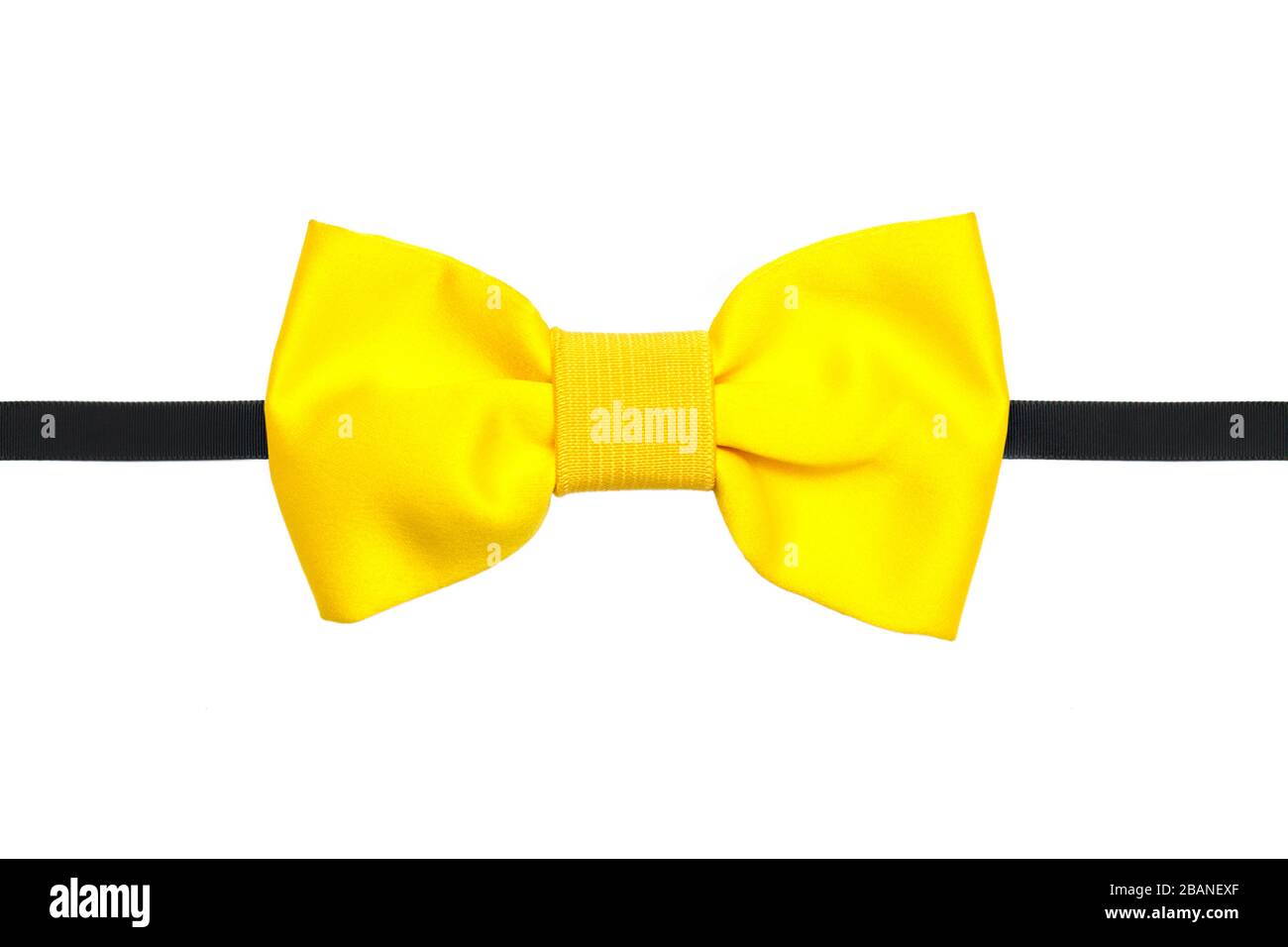 Fiocco giallo primo piano isolato su sfondo bianco Foto Stock