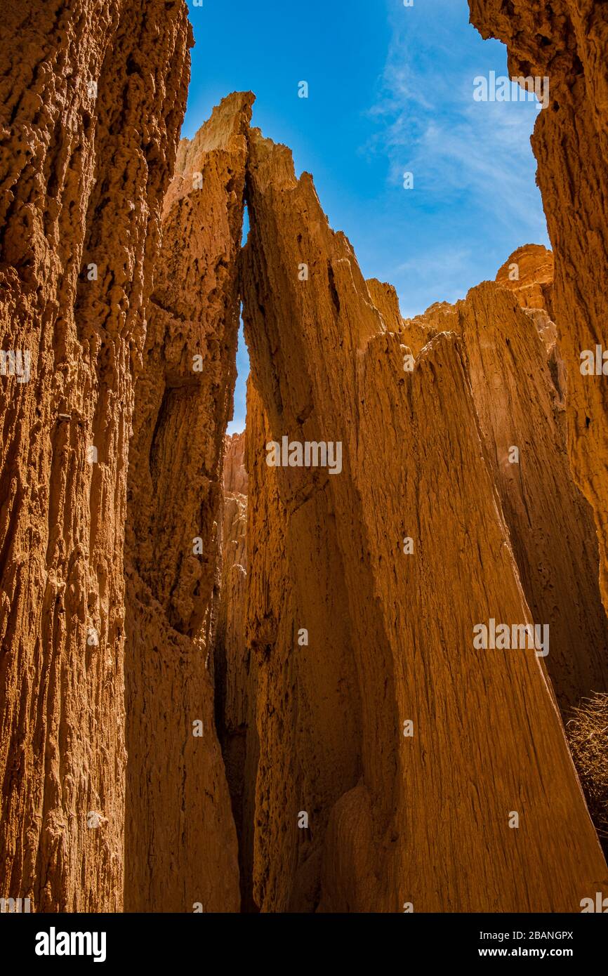 Quasi come nella preghiera, due hoodoos argillosi vicini si toccano al Cathedral Gorge state Park, Nevada Foto Stock