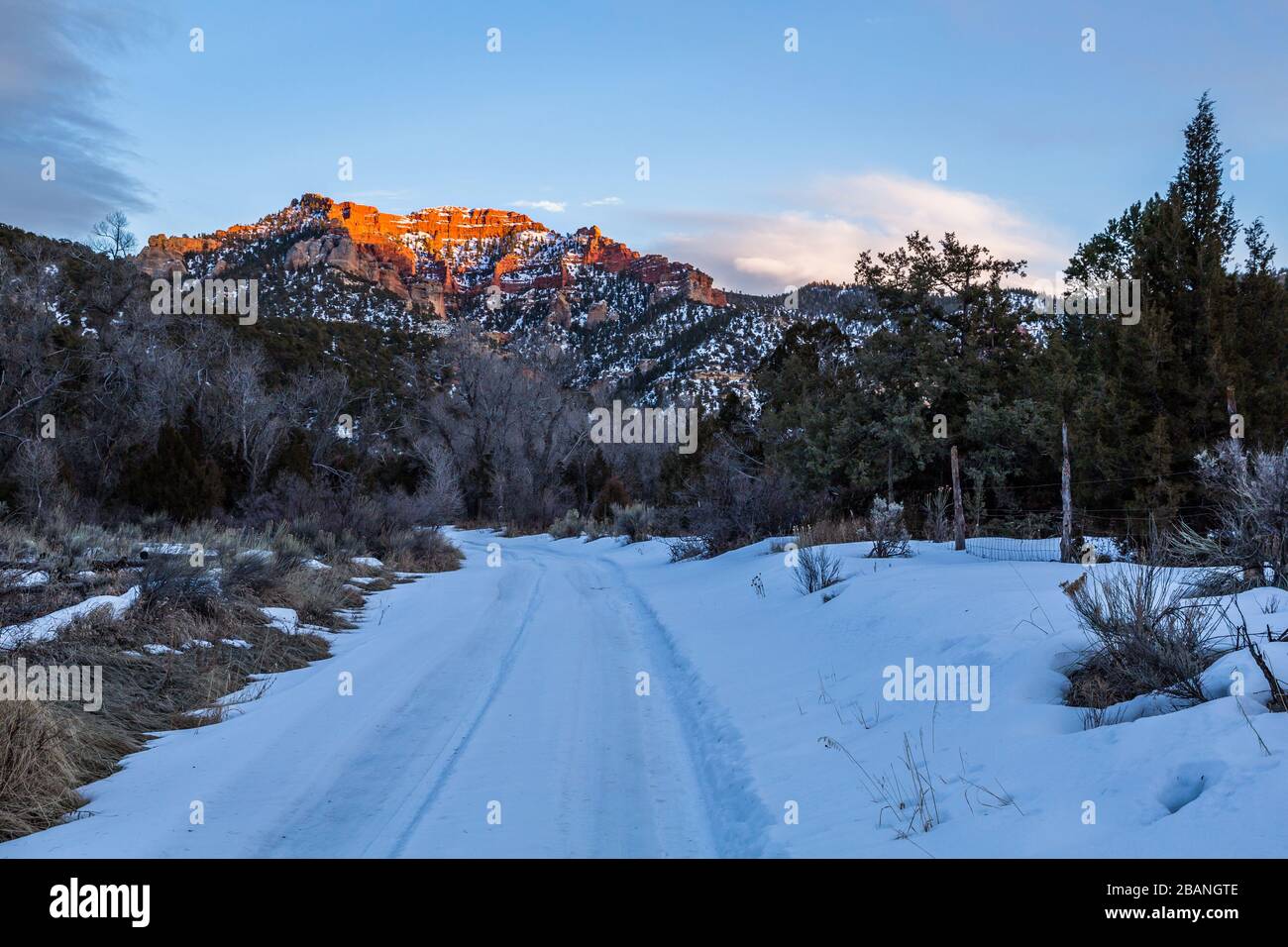 Nel deserto dello Utah meridionale nel mese di febbraio, la neve copre un piccolo sentiero nella natura selvaggia. Sopra, una grande scogliera di arenaria arancione è illuminata dal Foto Stock