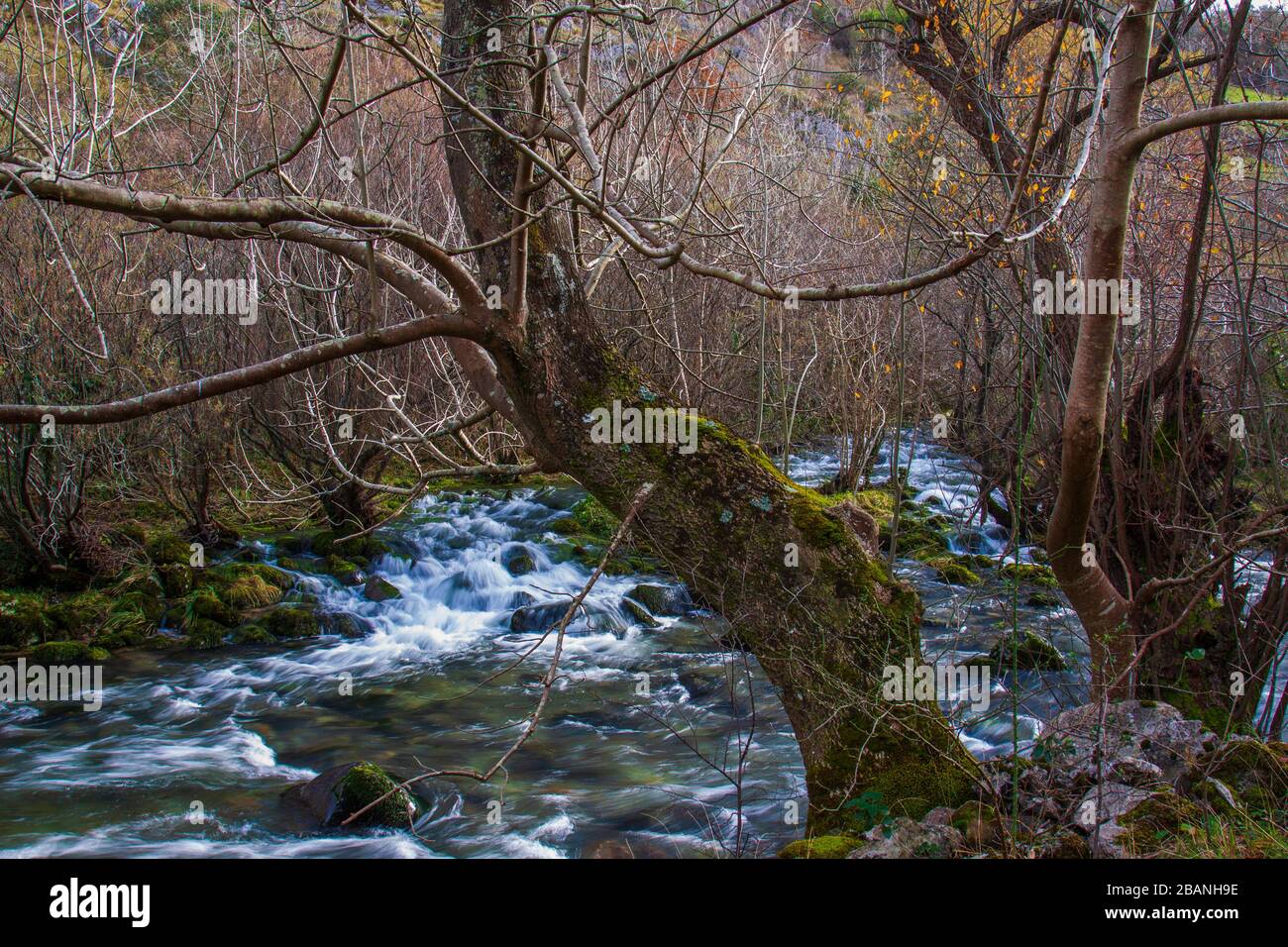 Valle del fiume Ason nel Parkland 'Collados del Ason' Cantabria, Spagna. Foto Stock