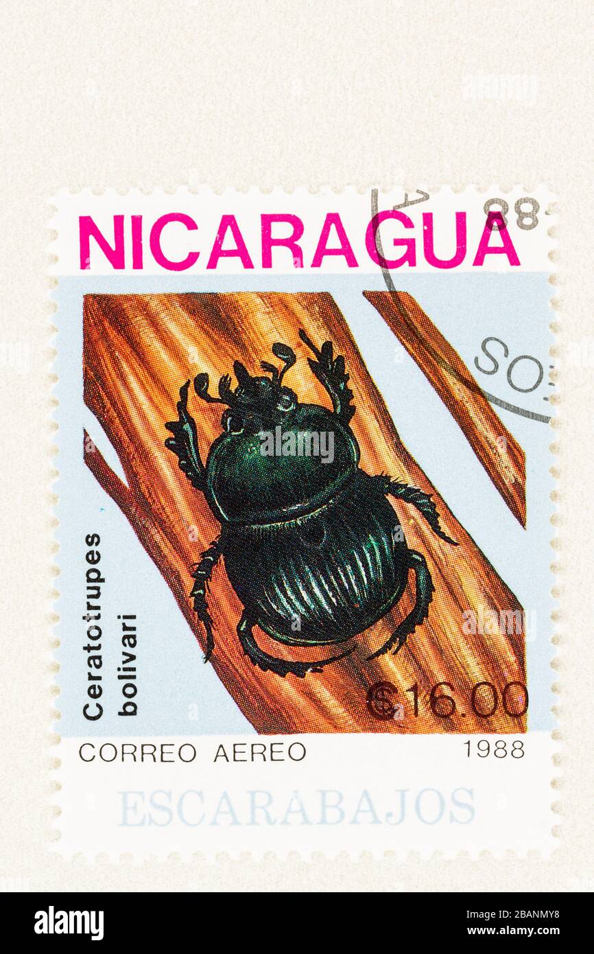 SEATTLE WASHINGTON - 27 marzo 2020: Primo piano di usato Nicaragua francobollo con scarabeo grande nero e copia spazio. Scott n. 1728 Foto Stock