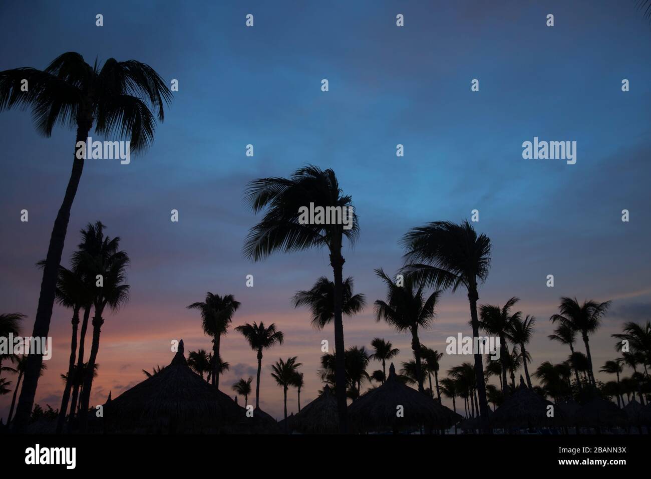 Maestoso tramonto su Palm Beach ad Aruba Foto Stock