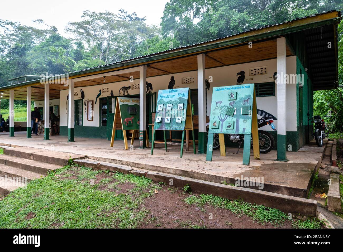Stazione di ranger dello scimpanzee nel Parco Nazionale di Kibale, Uganda Foto Stock