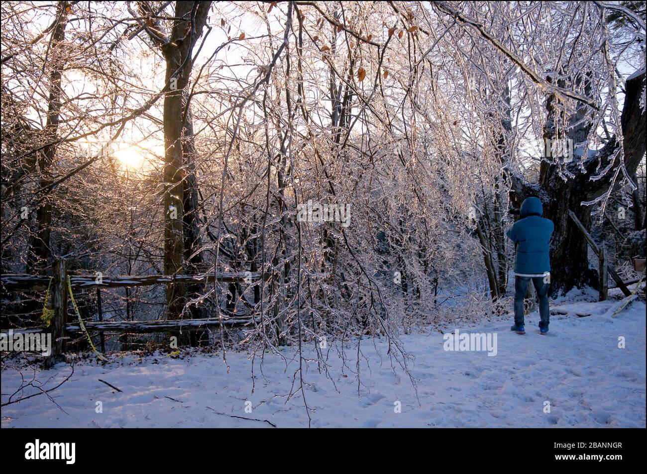 Paesaggio invernale dopo la tempesta di pioggia gelida, tempo intenso. Foto Stock