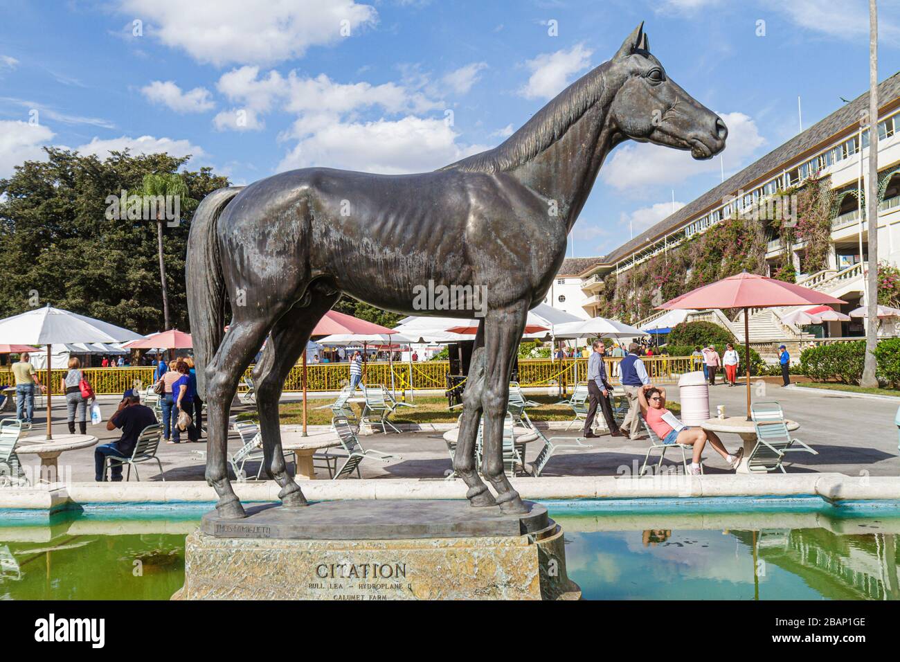 Miami Florida,Hialeah,Miami,Hialeah Park,Quarter horse racing,Racetrack,statue,Citation,FL110116047 Foto Stock